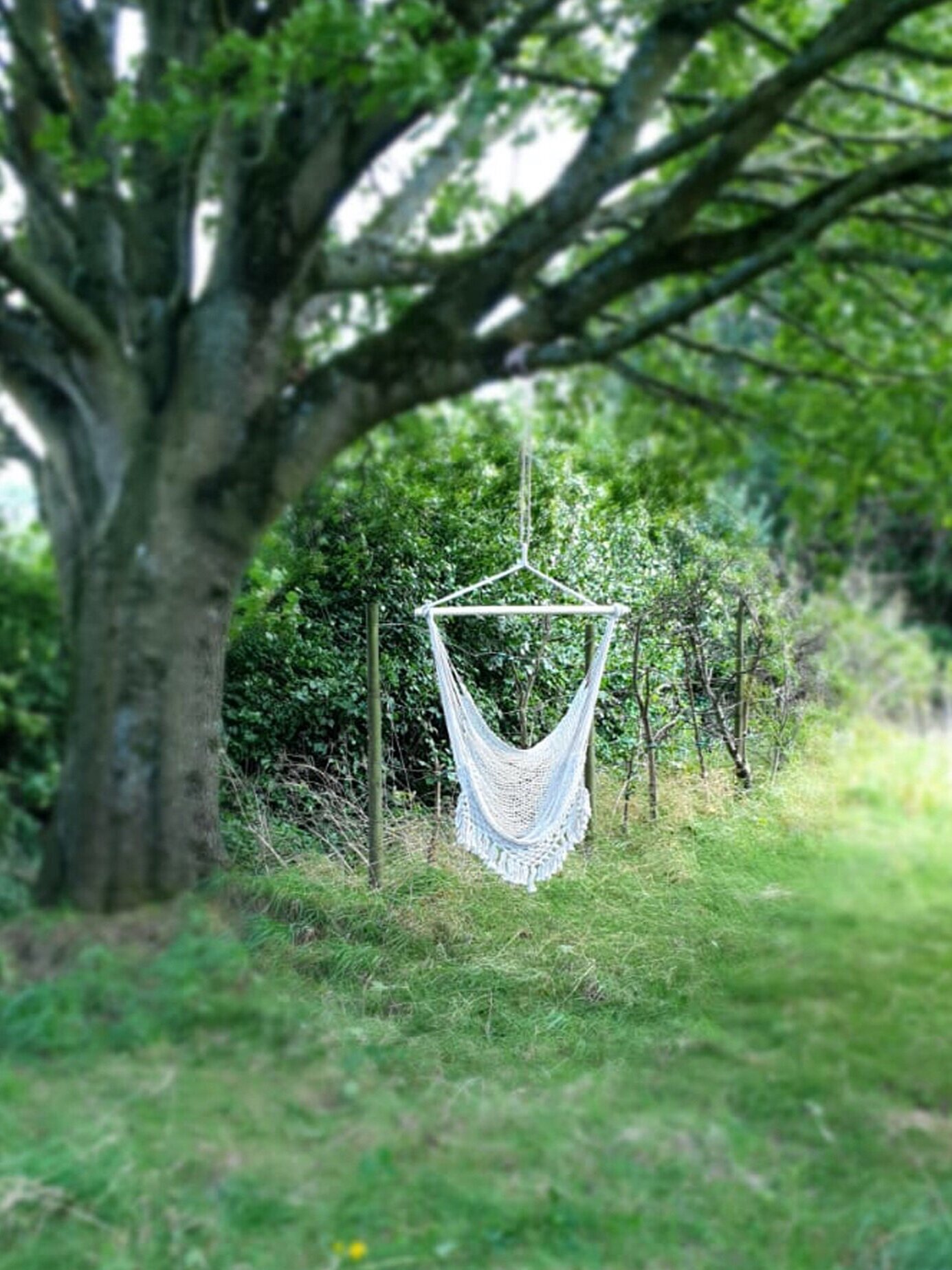RANDOM+THATCH+-+swing+seat.jpg
