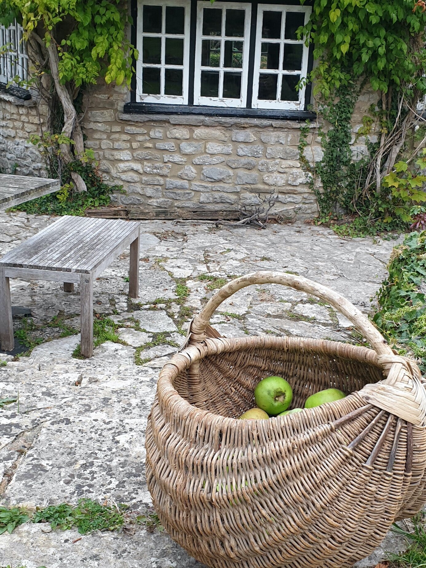 RANDOM+THATCH+-+apple+basket+1.jpg