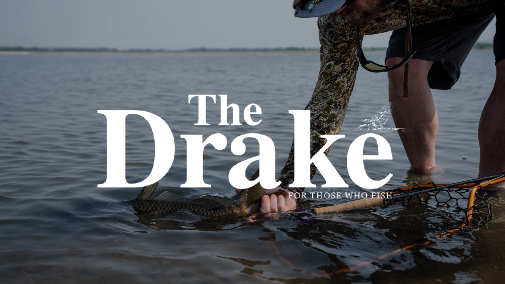 clientbanners_thedrake.png