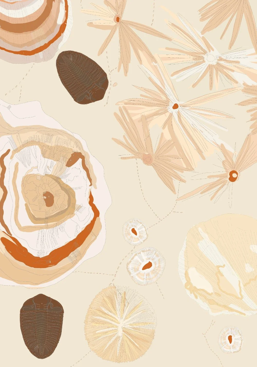 WhatsApp Image 2024-09-15 at 21.40.50.jpeg