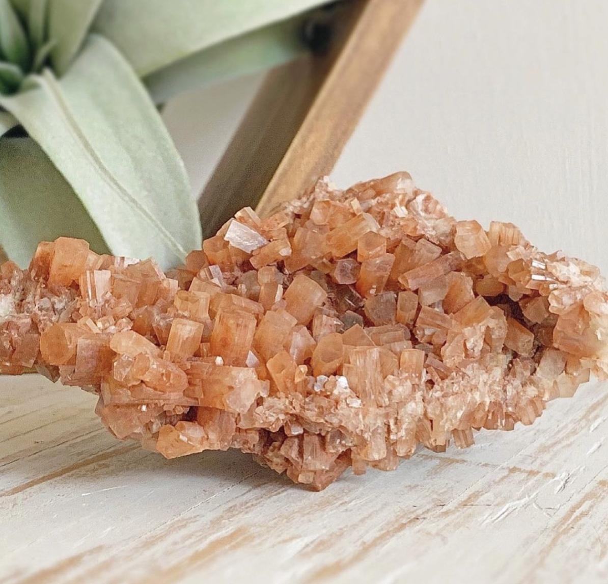 Screen Shot 2021-10-03 at 8.21.52 AM.png