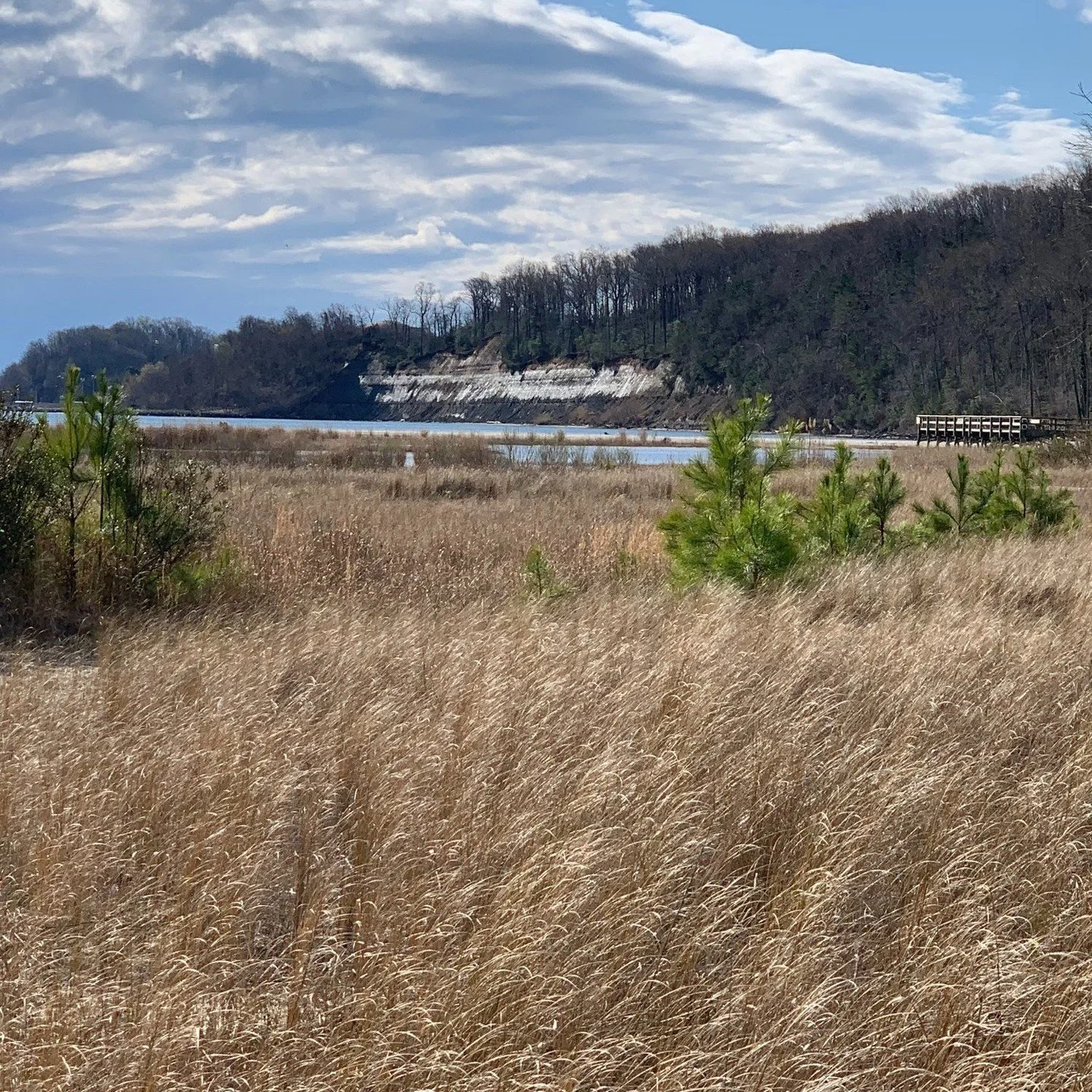 I am excited to announce my first blog of my series - &quot;The Choice is Yours&quot;. In this post, I share my personal journey of transition and choice as I navigate through the cliffs of life alongside the two most important women in my life, my m