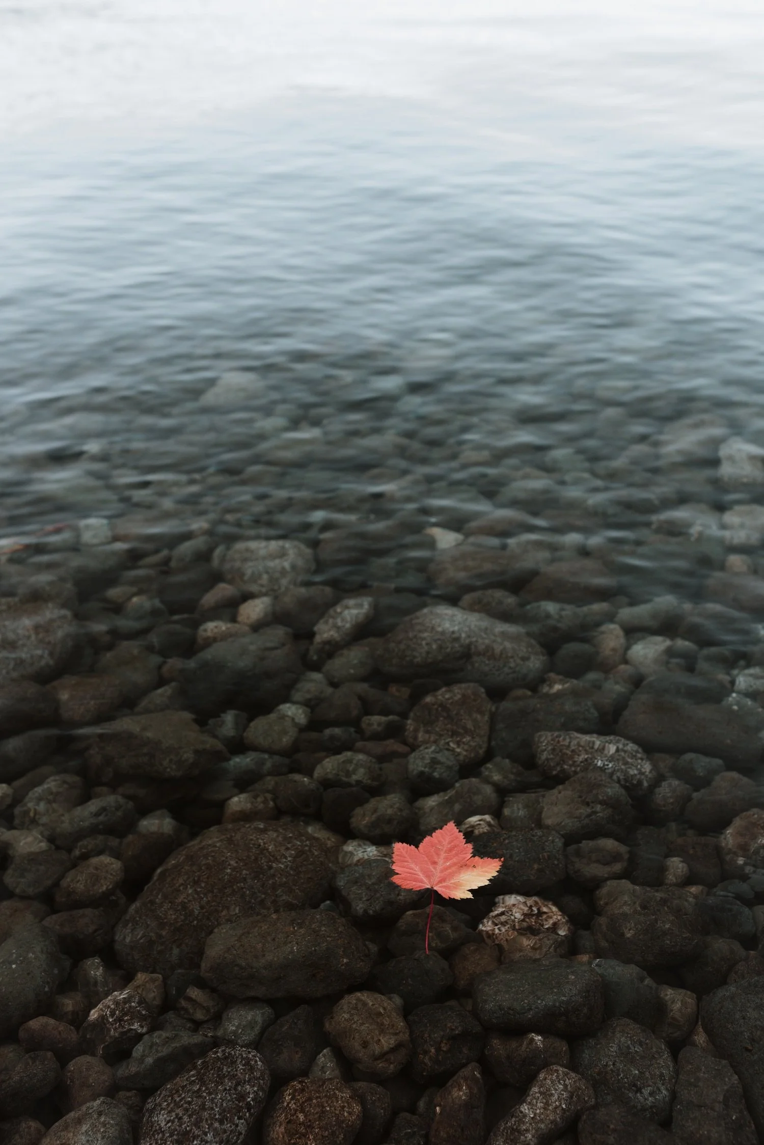 Anna Hornby | Print #4