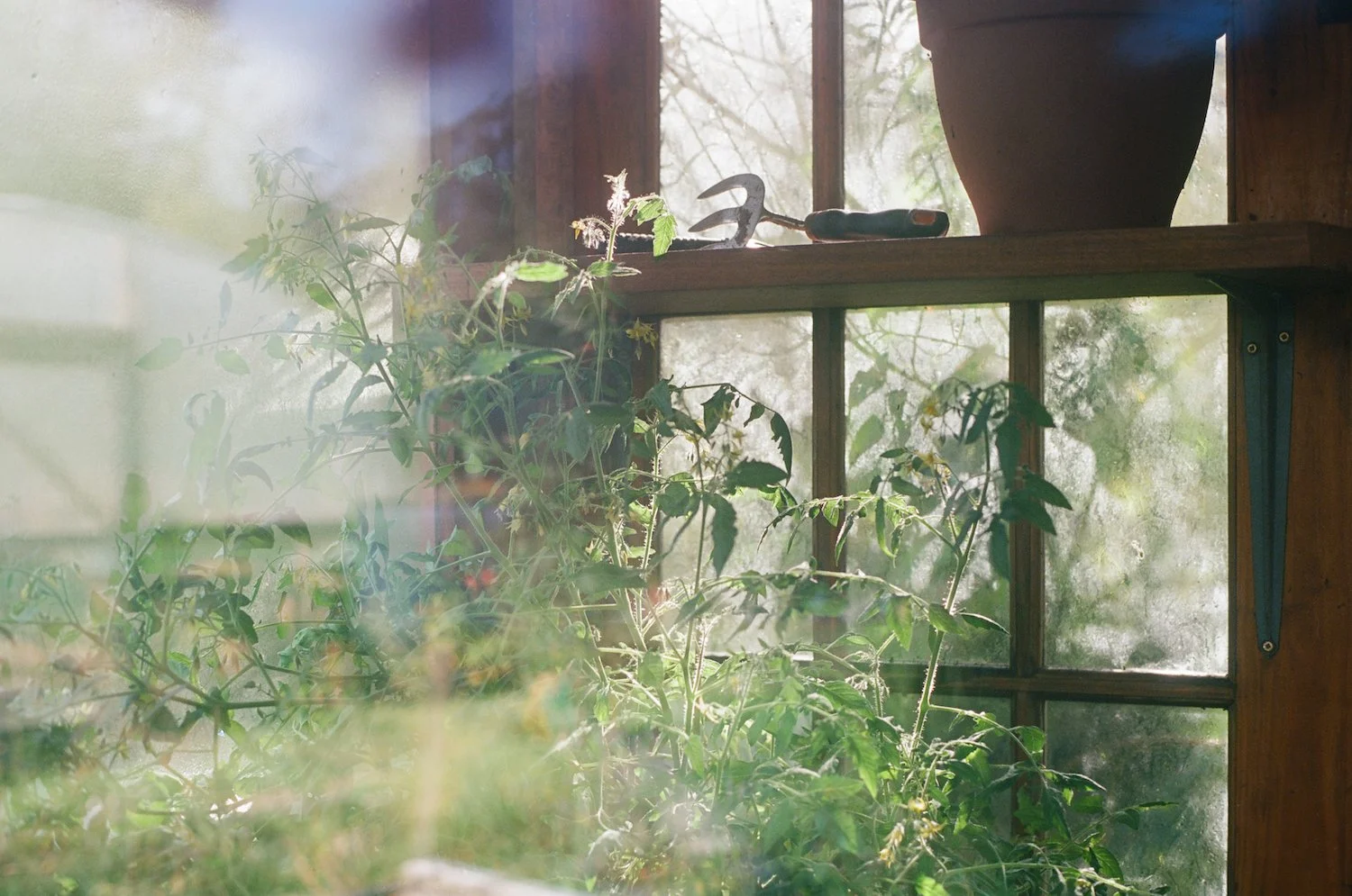 Allyson Klein | Print #4