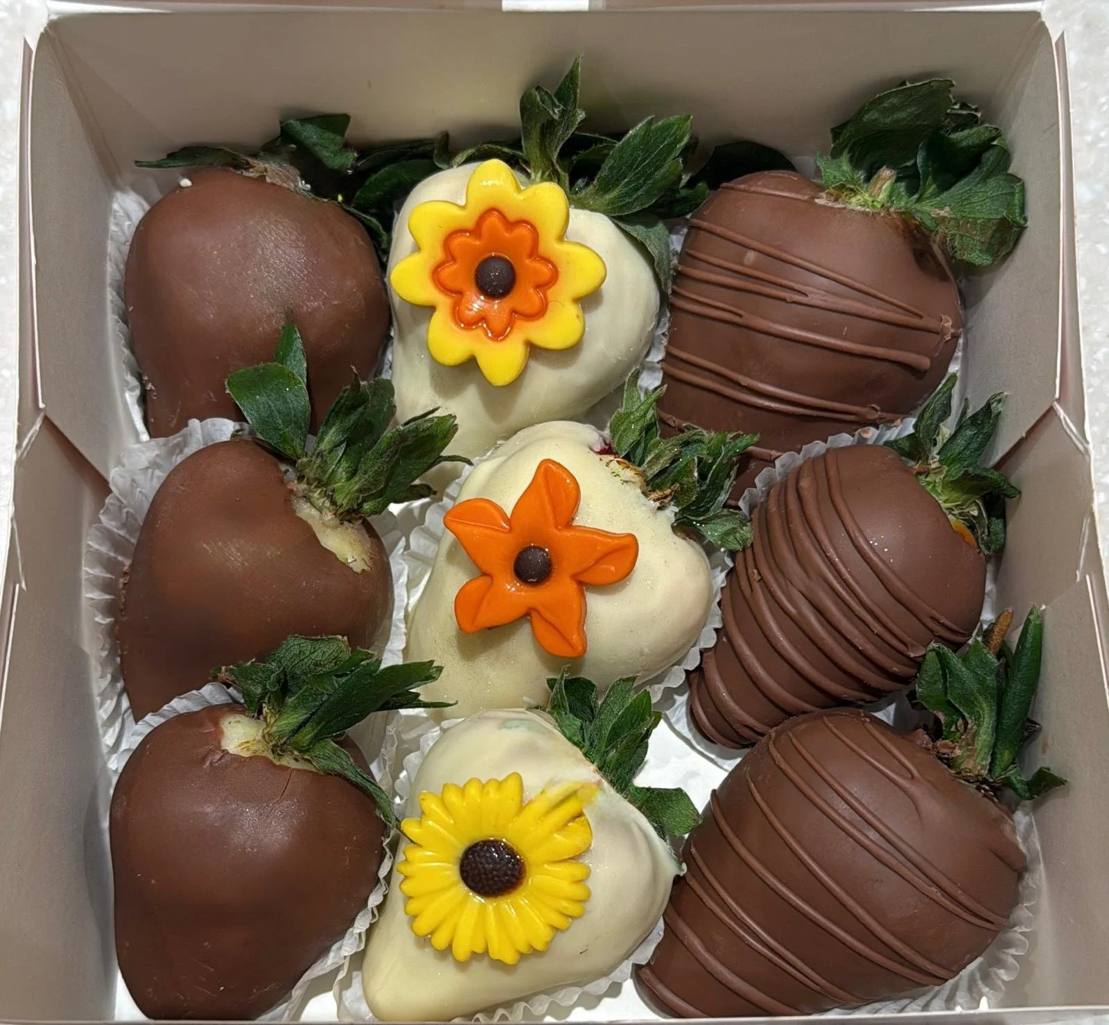 WhatsApp Image 2026-03-10 at 13.35.53.jpeg