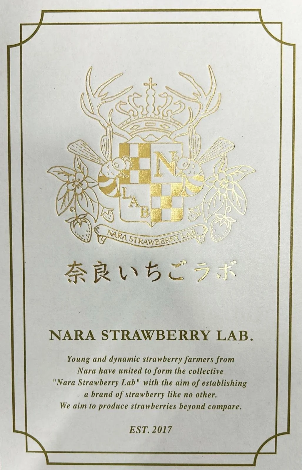 WhatsApp Image 2026-02-24 at 18.05.29.jpeg