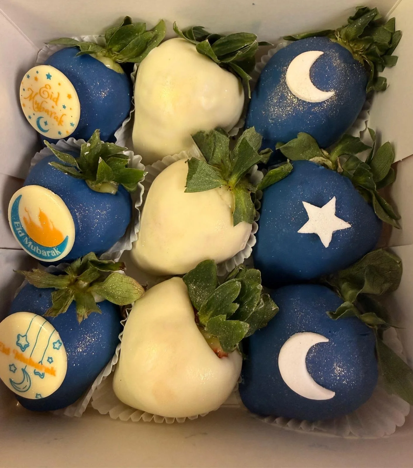 WhatsApp Image 2026-02-23 at 12.41.27.jpeg