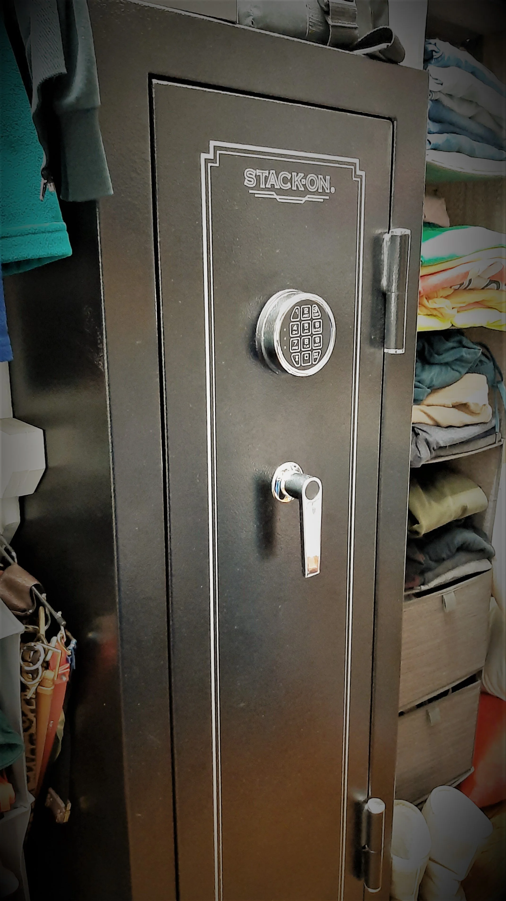 Learn the Ins and Outs of Securing and Storing Your Firearm