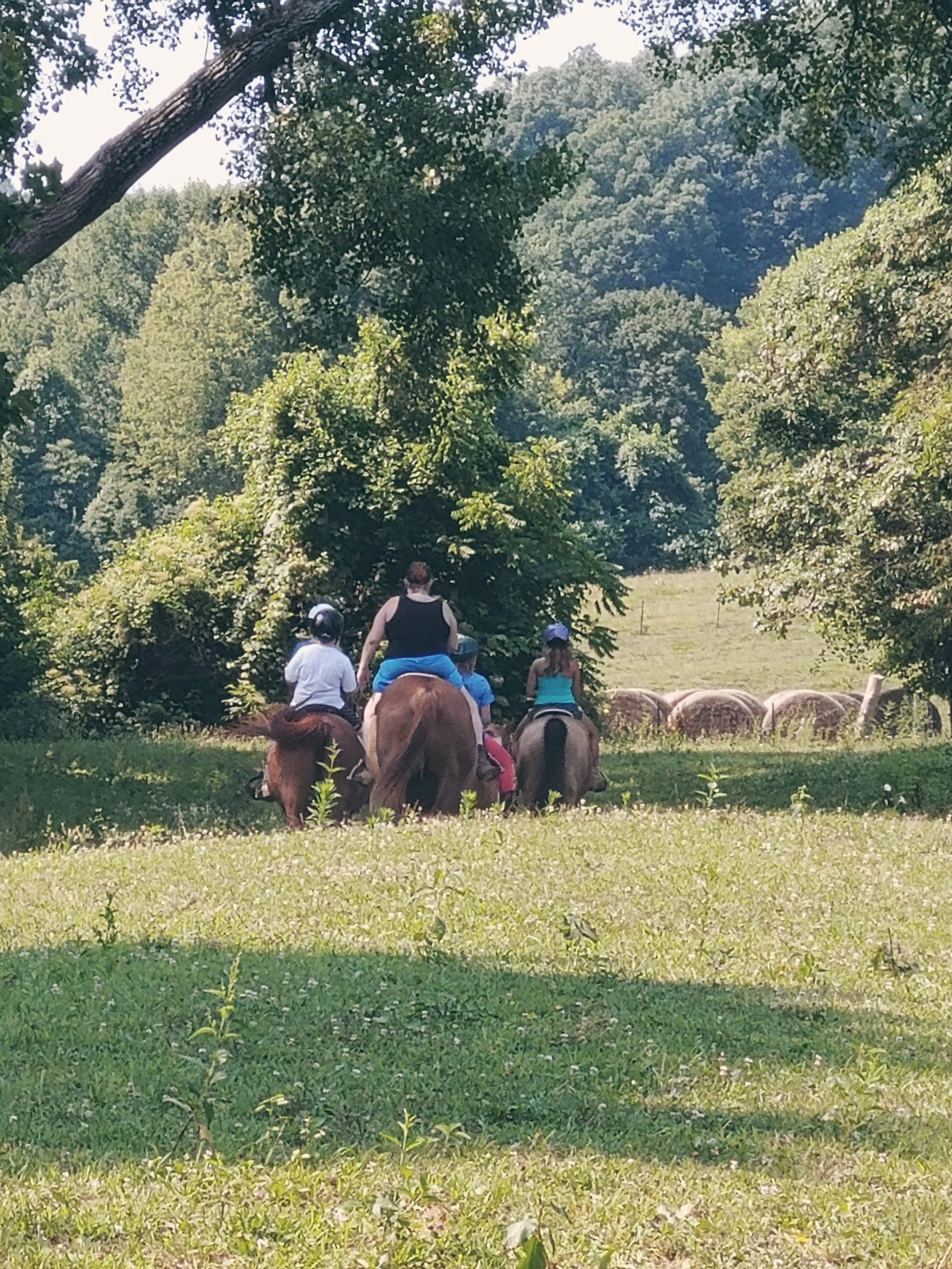 RJ horse camp.jpg