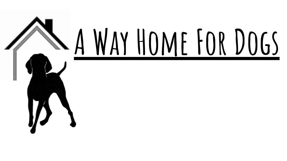 A Way Home for Dogs