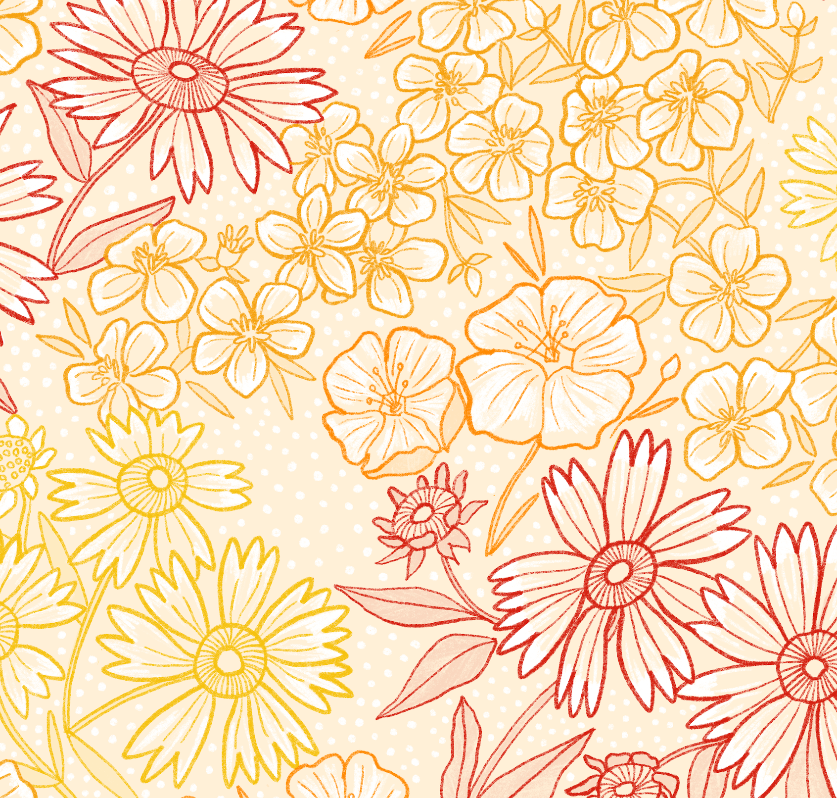 Image 8-20-26 at 10.11 AM.png