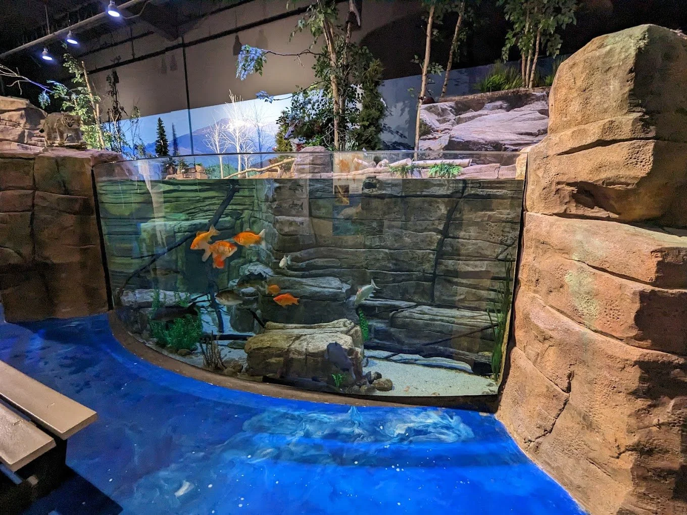 Living Shores Aquarium