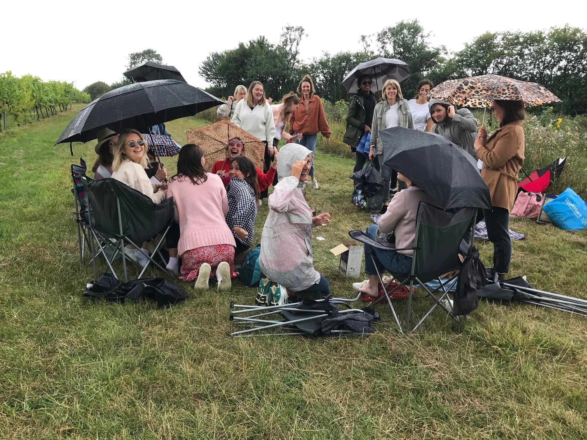 Picnicking hens in the rain Potter 2.jpg