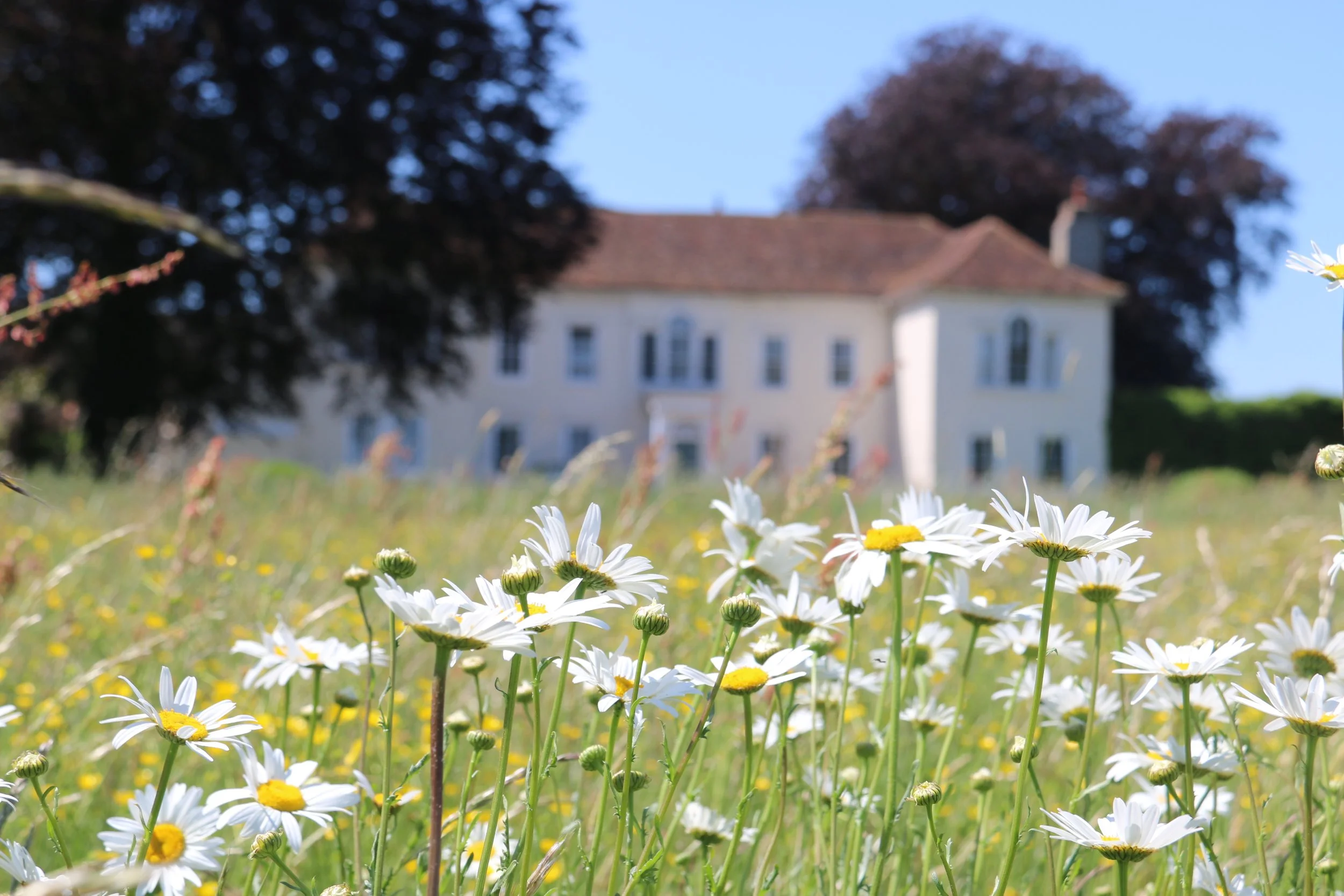 Milden Hall exterior  front (2).JPG