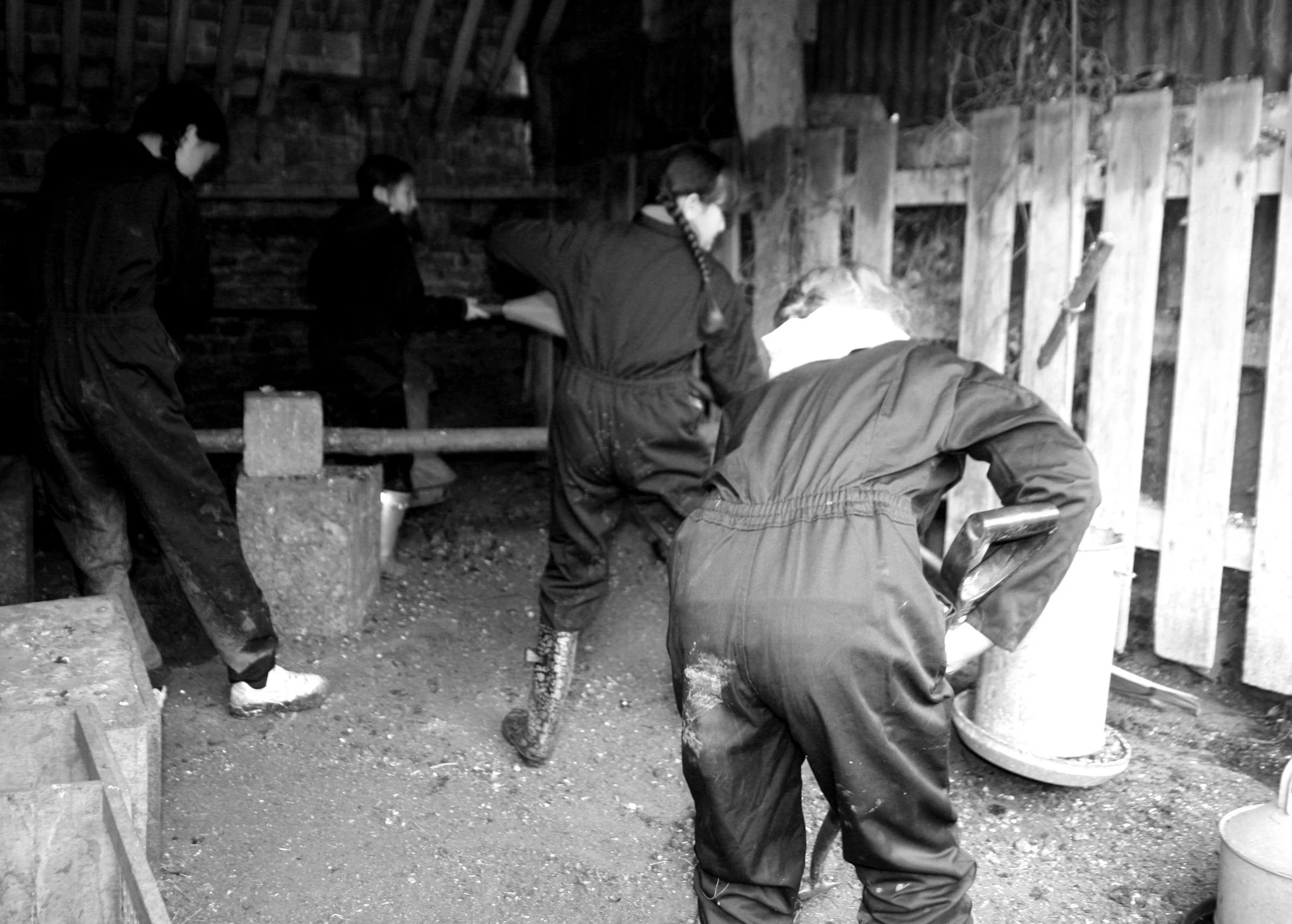 Cleaning out the chickens