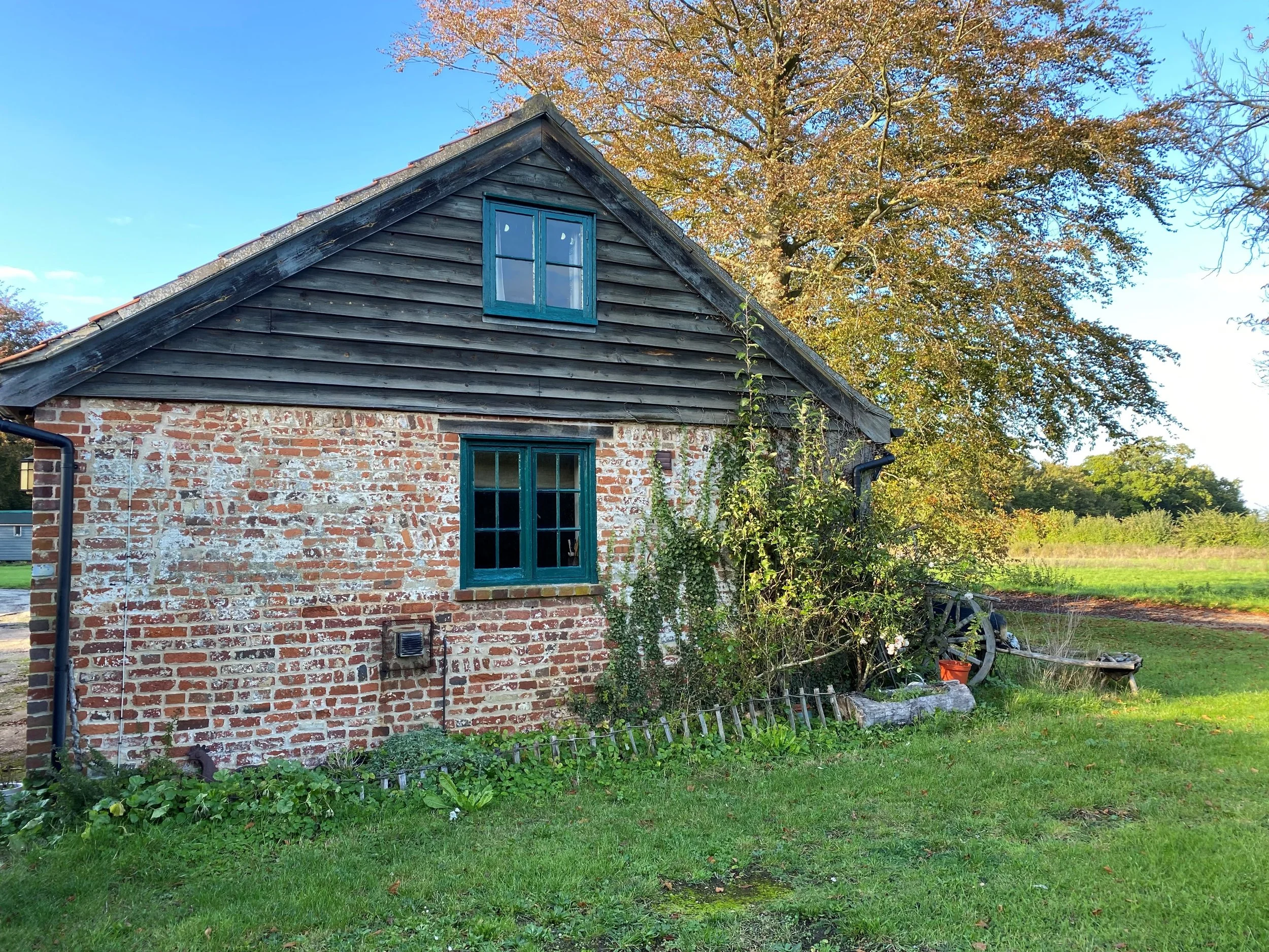 Coachmans from different angles  (6).JPG