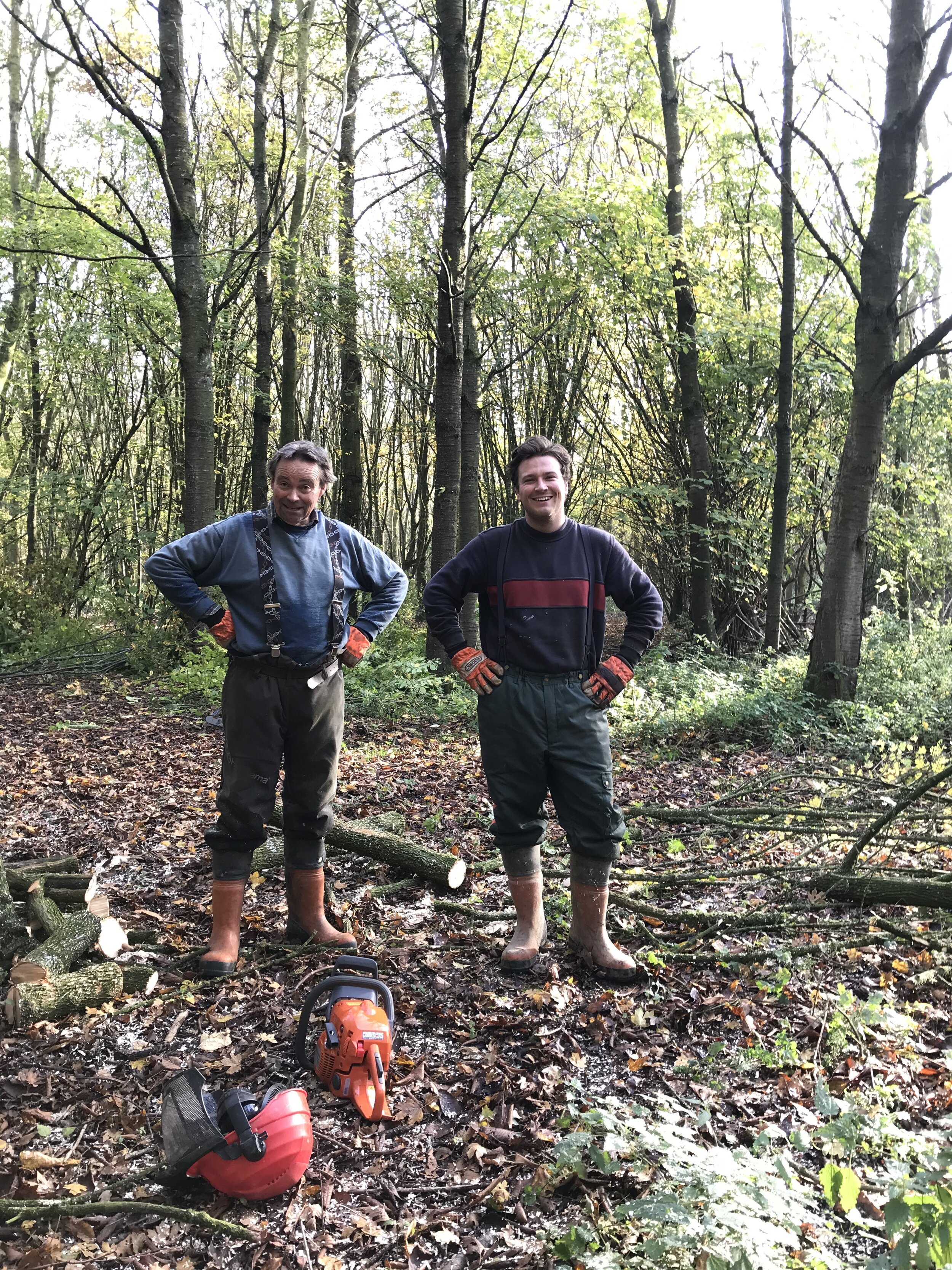 Sustainably manage our young woods