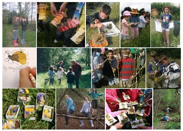 Our Wildlife Watch Group