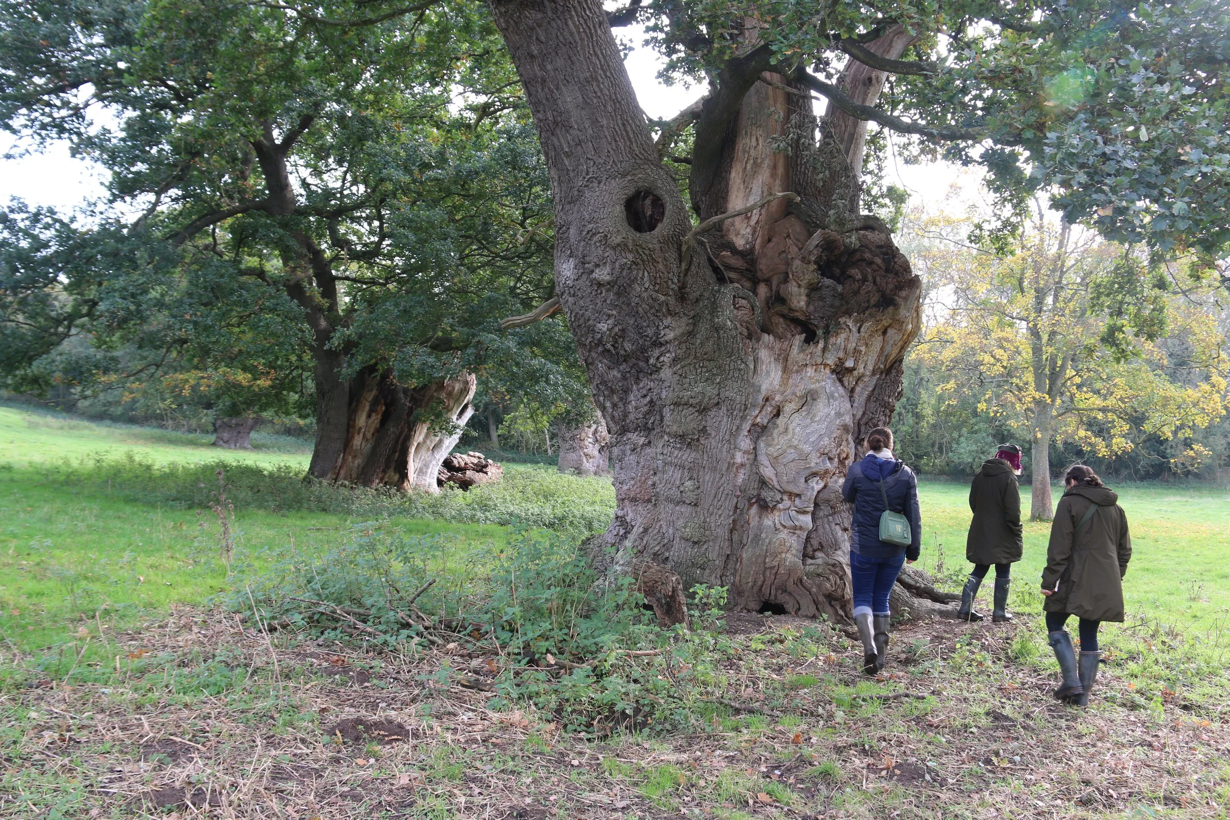 Meg Anna Marie in Melford Park (4).JPG
