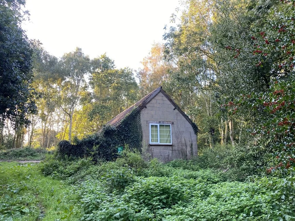 Shed in the Green Wood (3)red.JPG