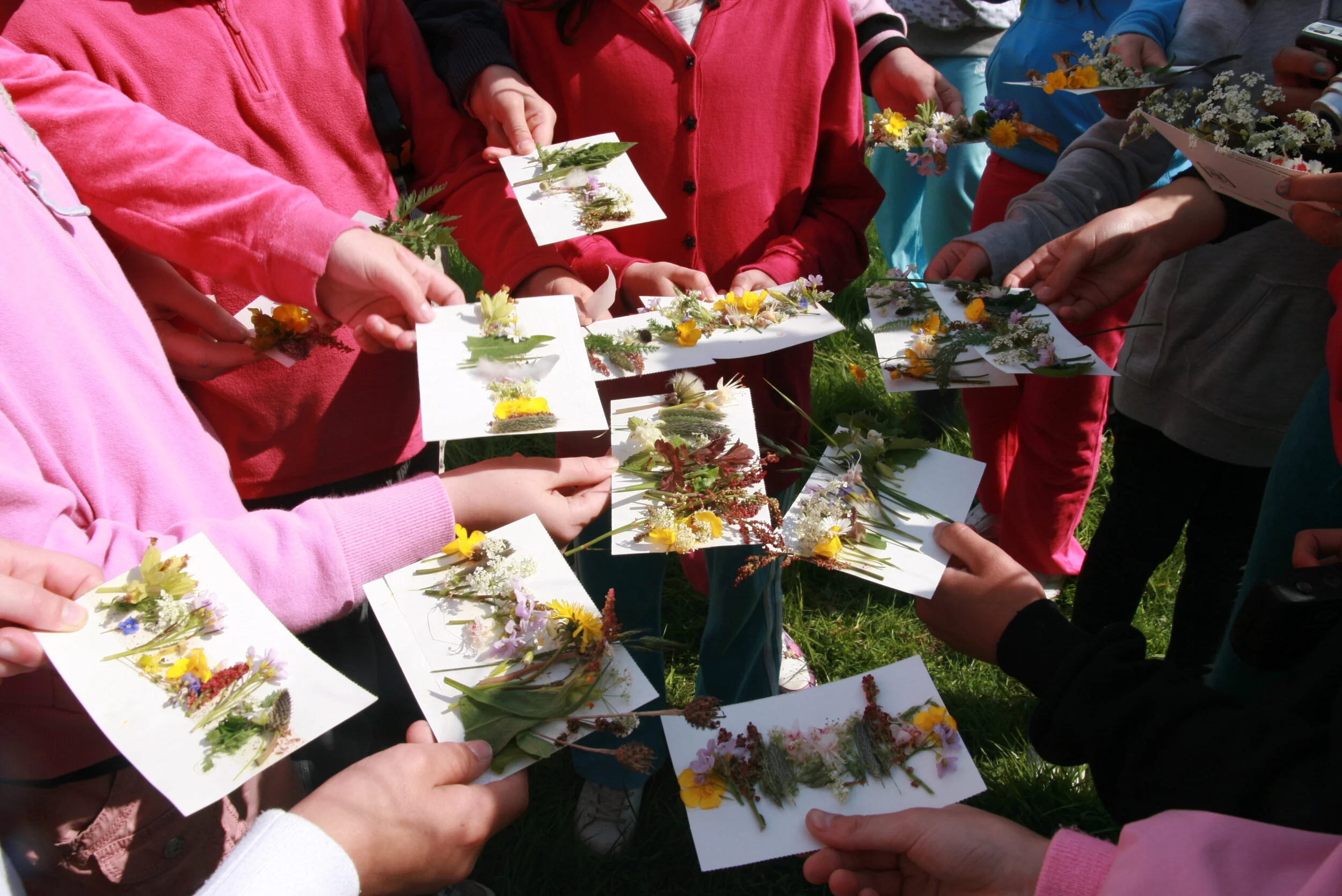 Nature's palletes.JPG