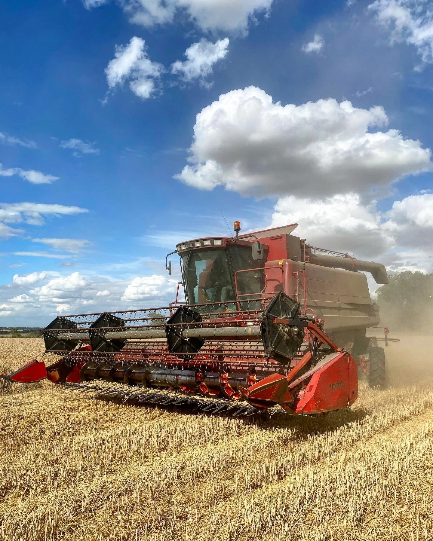 Combine harvester on a wheat field
