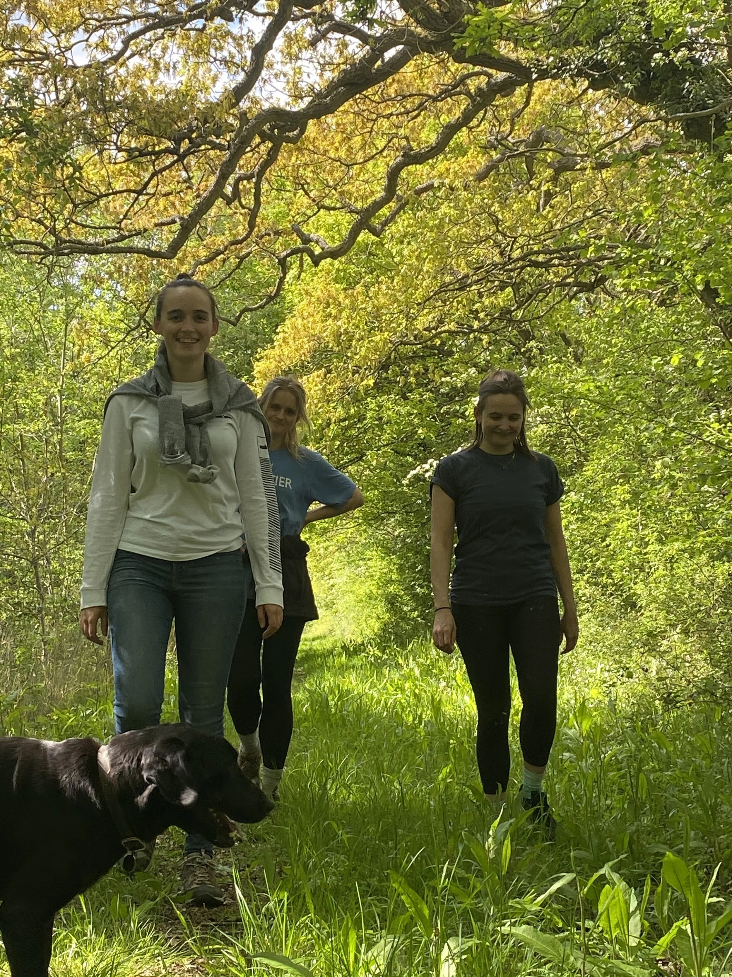 Three girls walking in a wood with a dog
