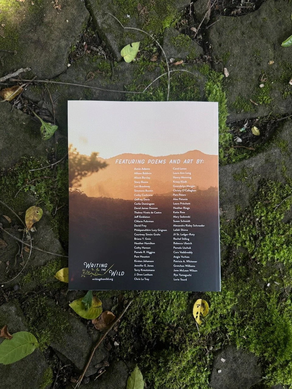 Imports - 2 of 3.jpeg (Copy)