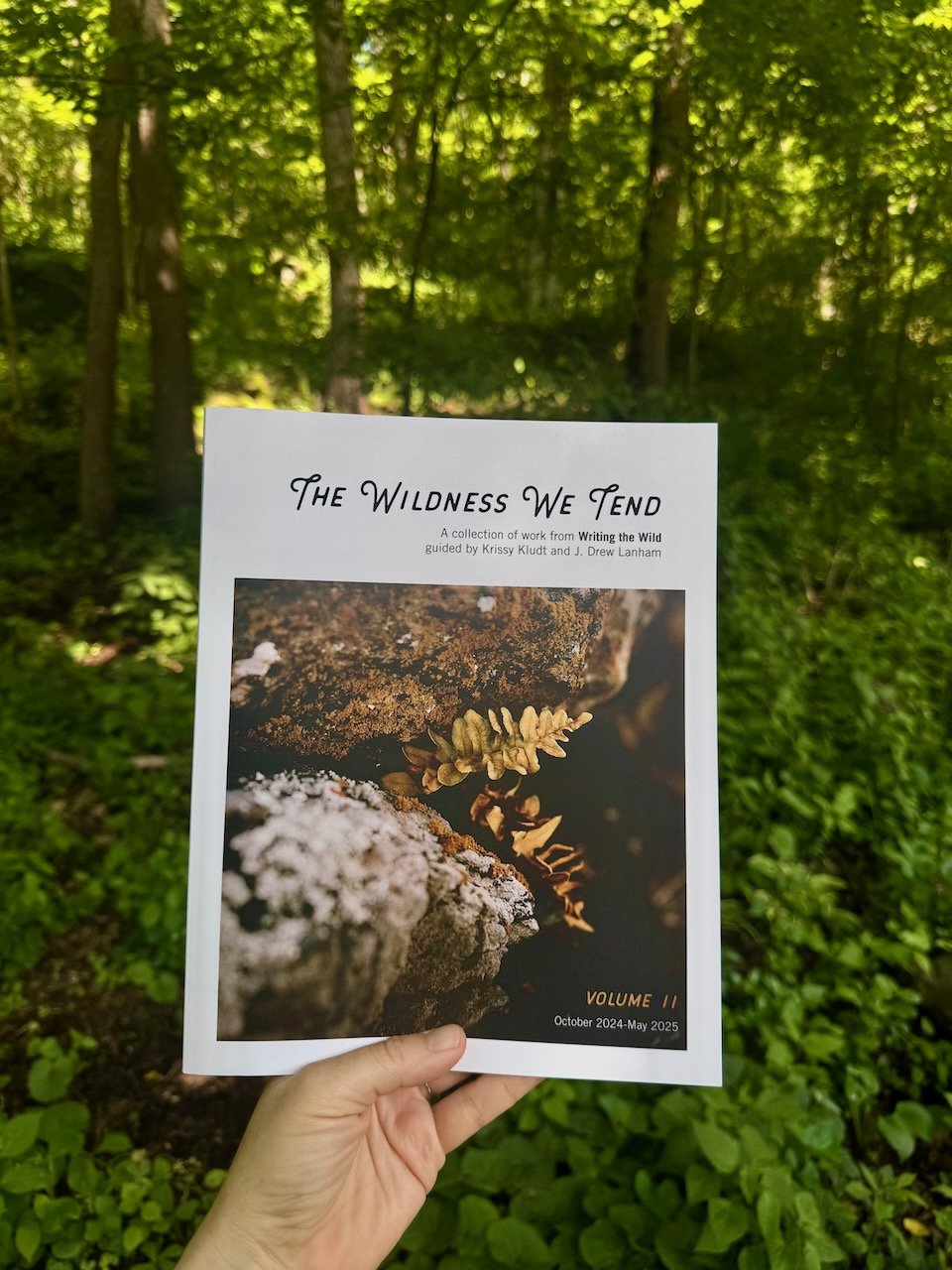 Imports - 1 of 3.jpeg (Copy)