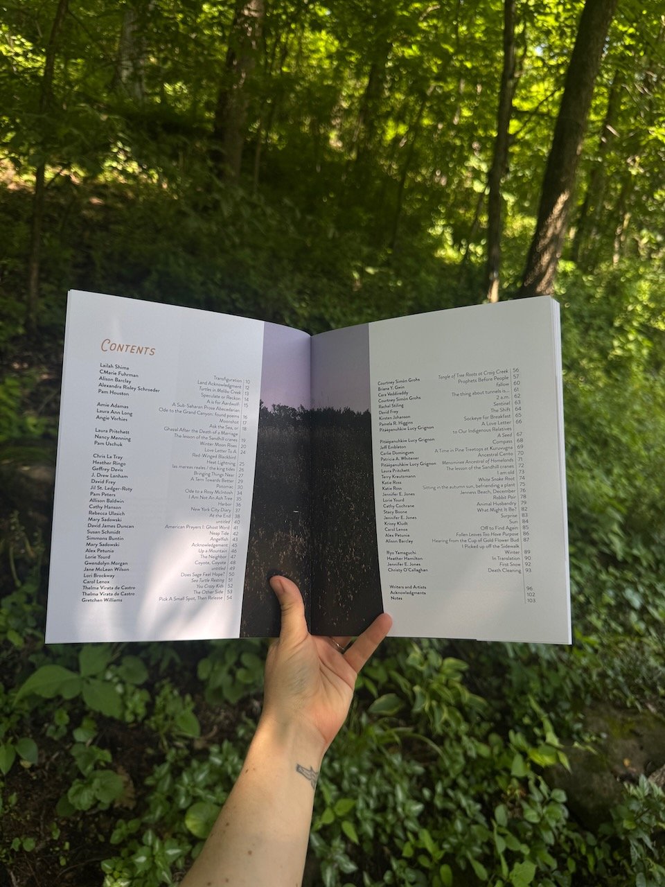 Imports - 3 of 3.jpeg (Copy)