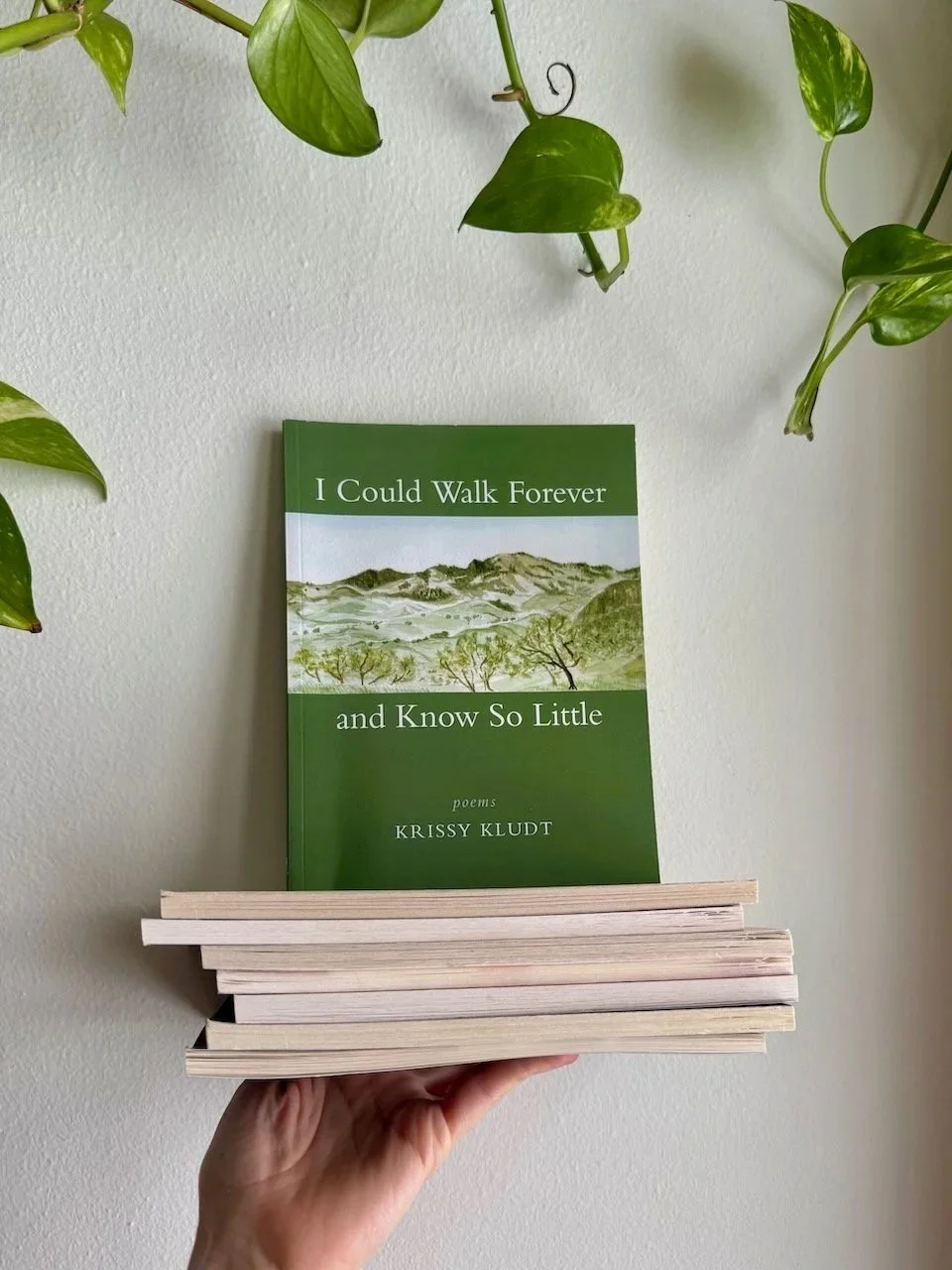 Set of 8: SIGNED I Could Walk Forever and Know So Little