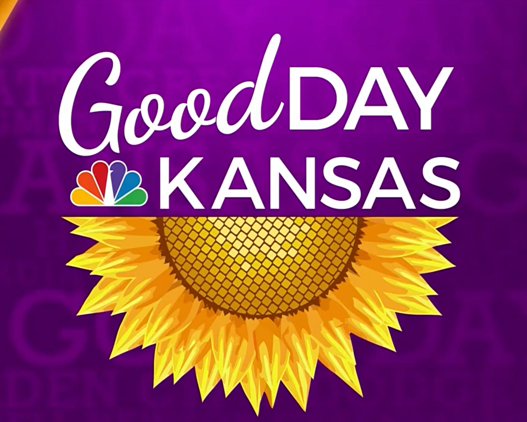 Gamechangers &amp; Champions - Good Day Kansas