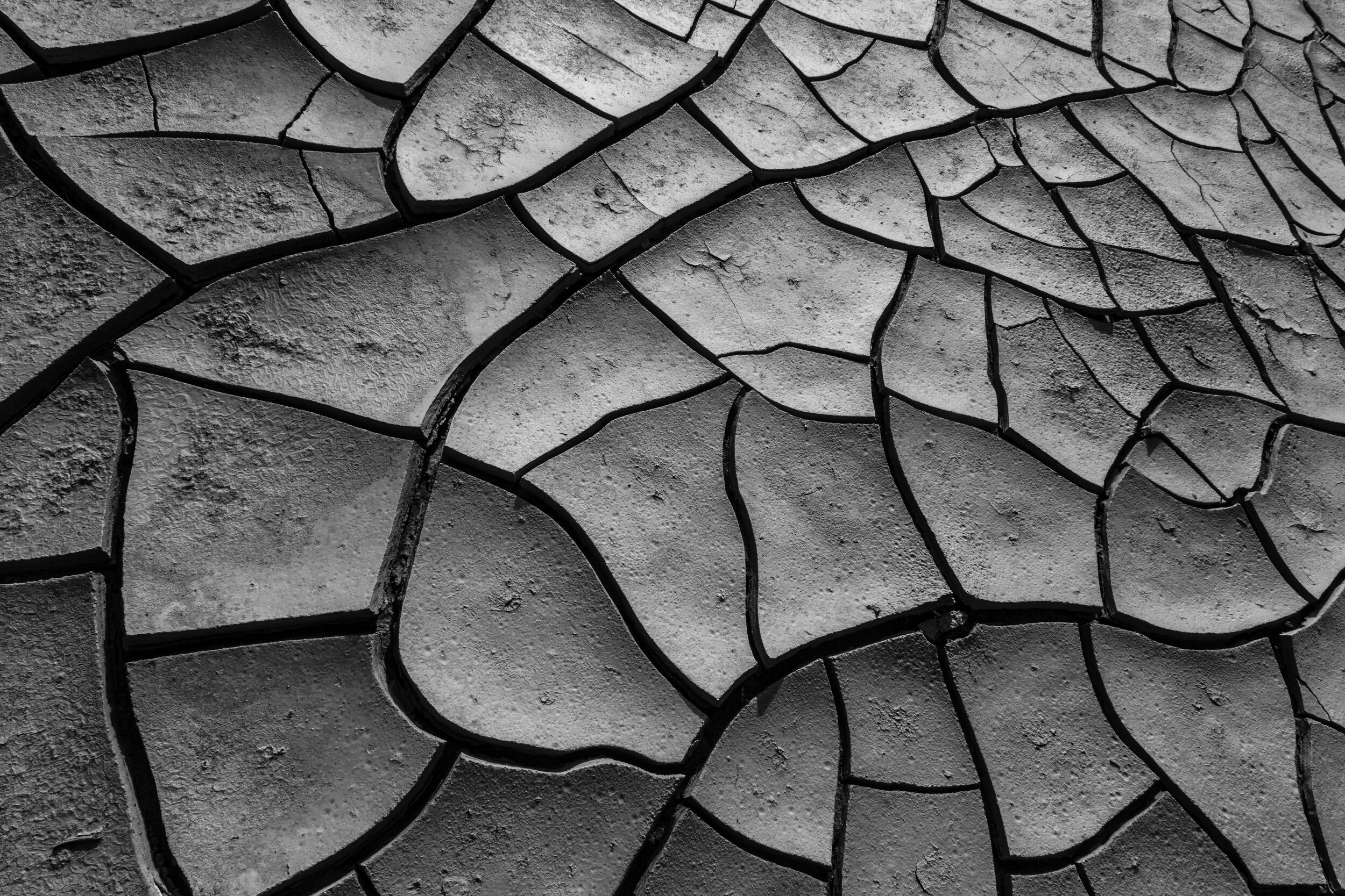 IMG_3339bw.jpg