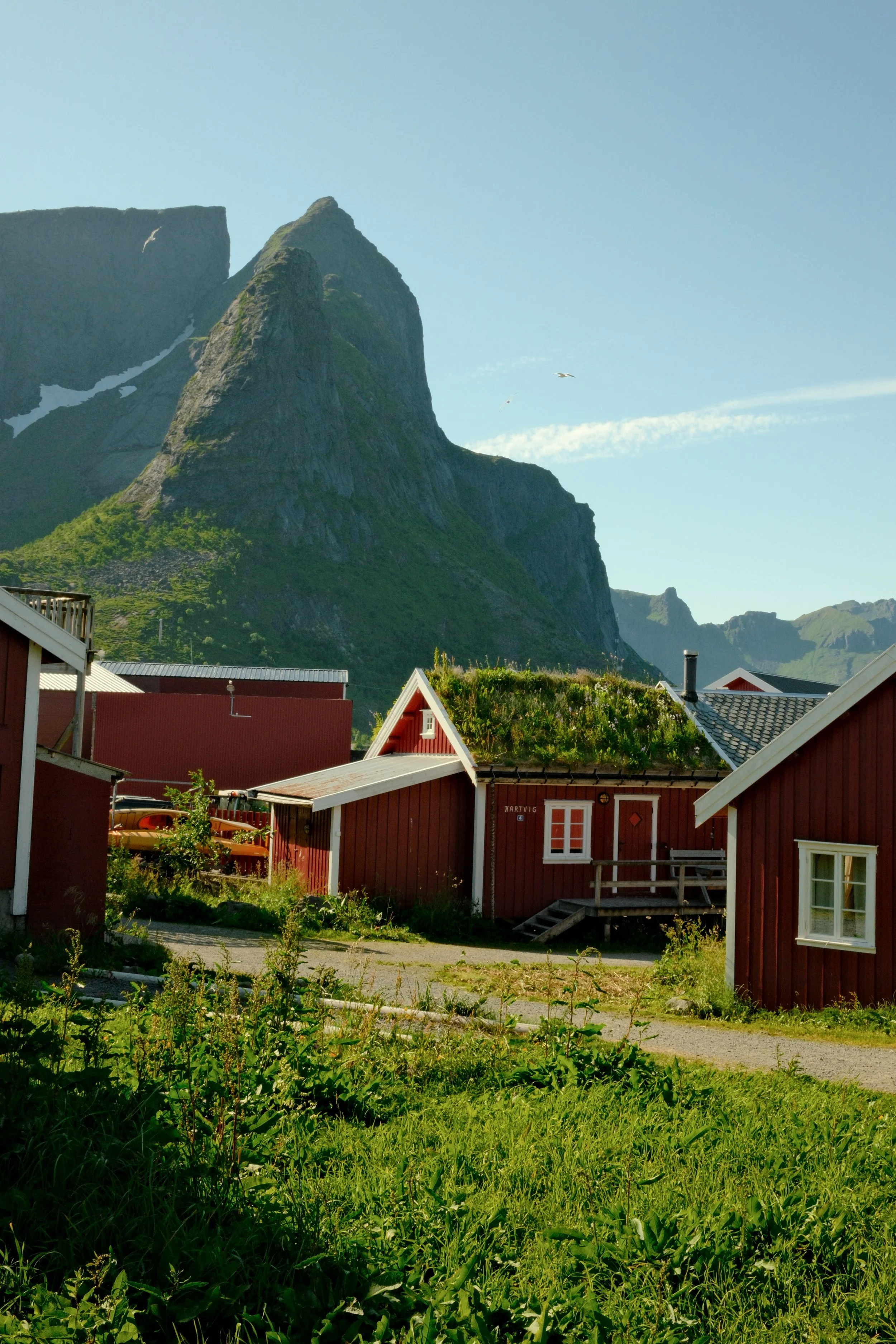 lofoten-1-3.jpg