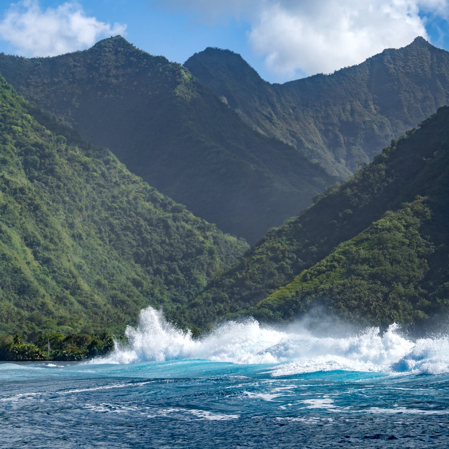 PRODUCT BRANDING FASHION SWIM PHOTOGRAPHY 32.jpg