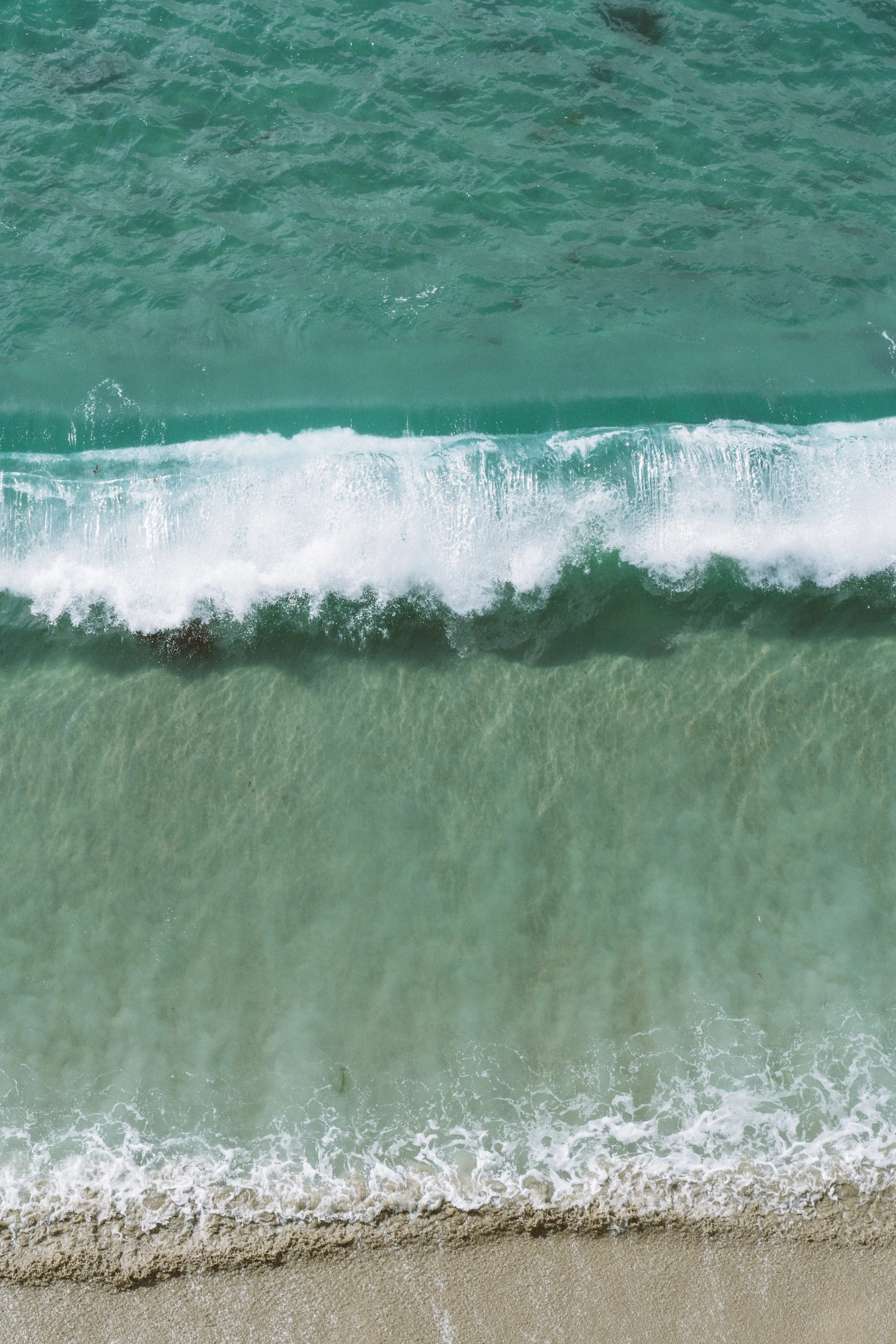 Surf and Sand Oct25 - Lynsey Garfinkel -09406.jpg