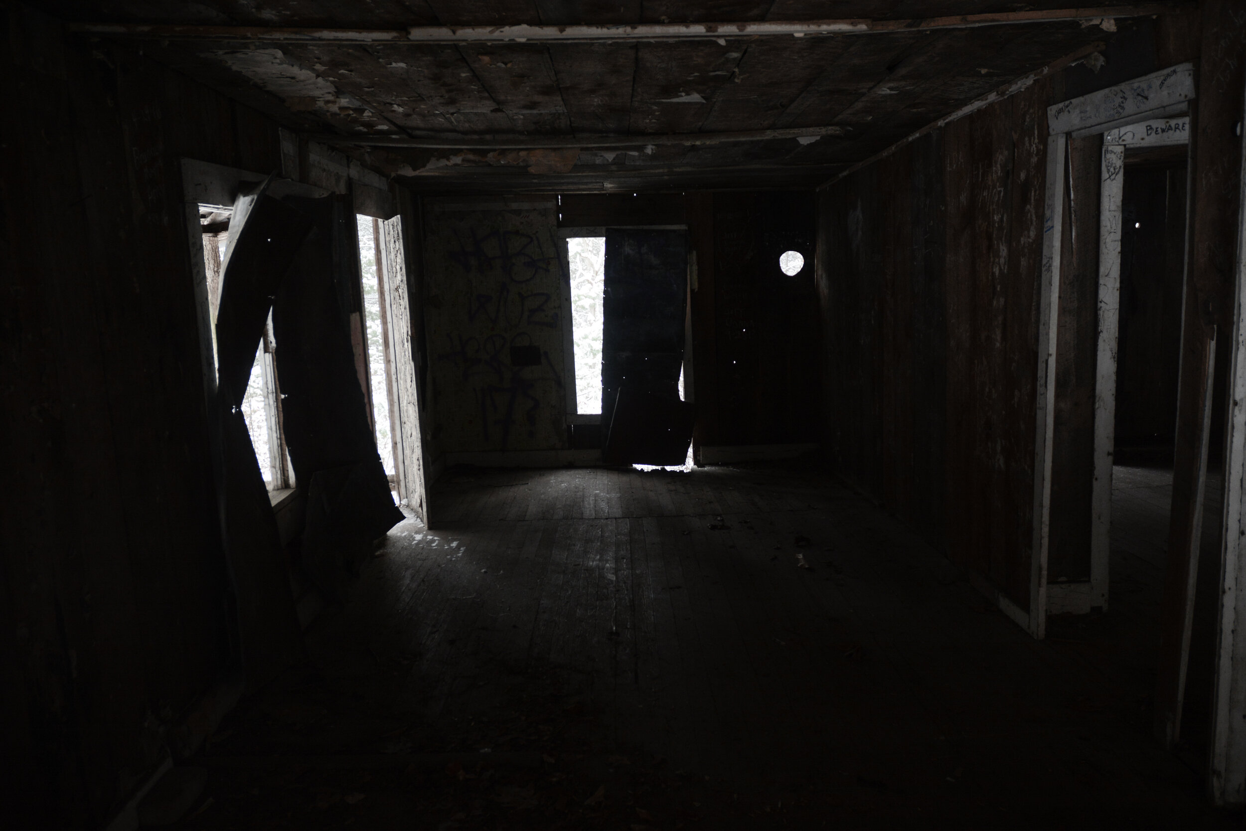 d71_3370.jpg