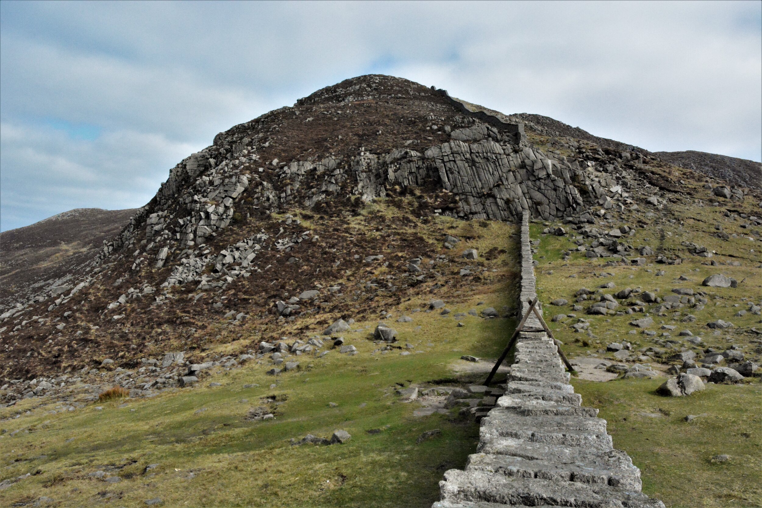 d71_2461.jpg