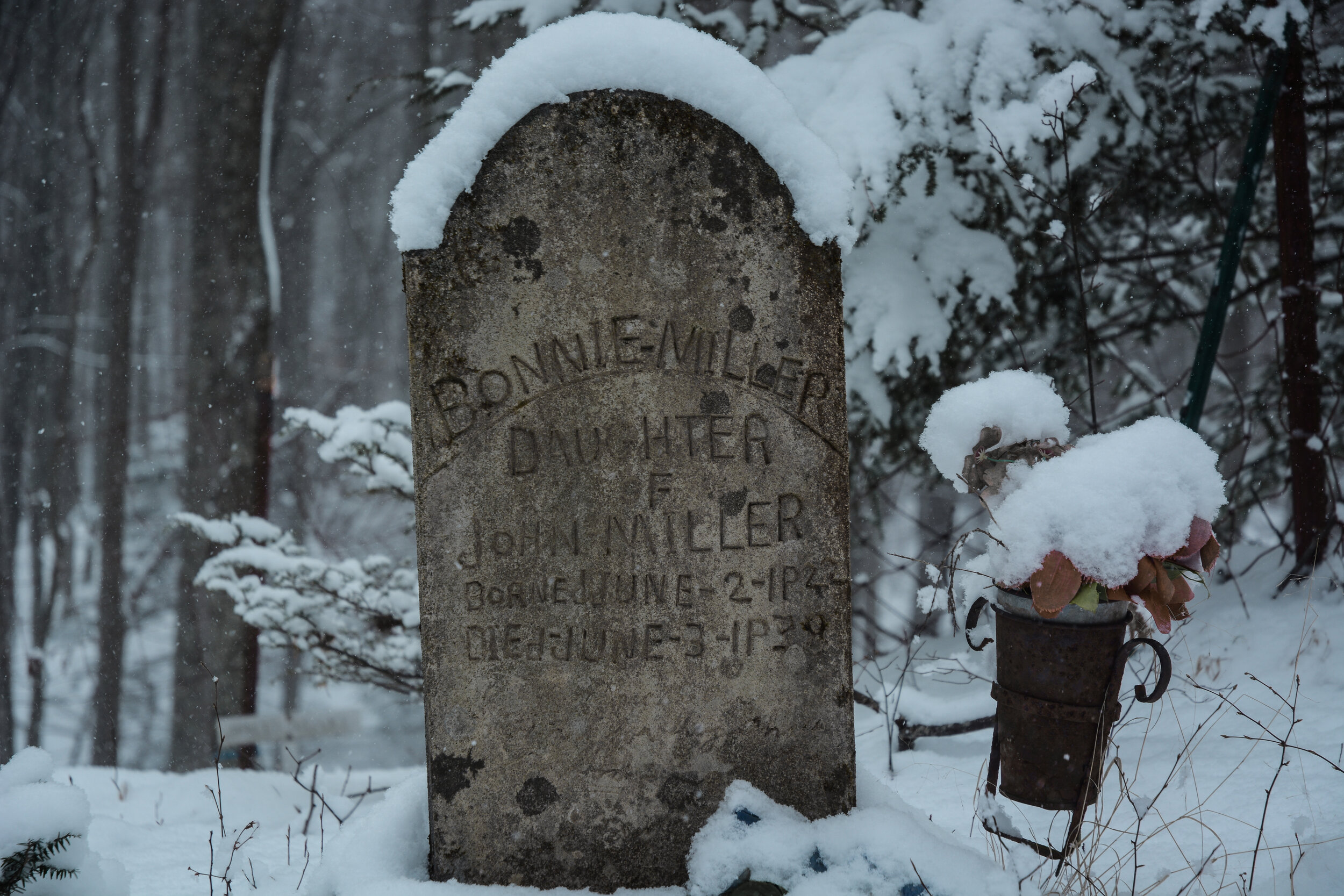 d71_3434.jpg