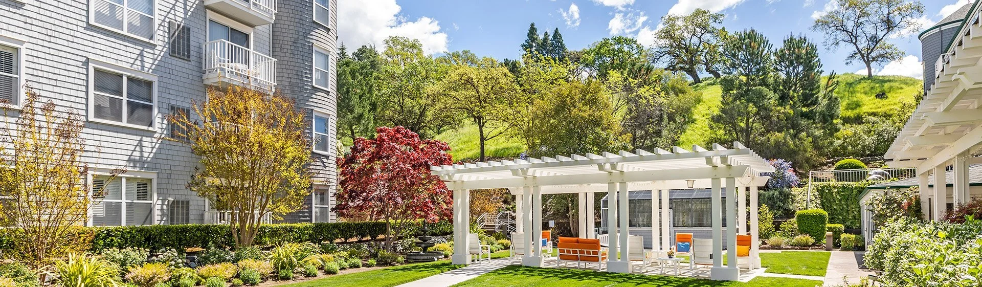 Zen Development Consultants