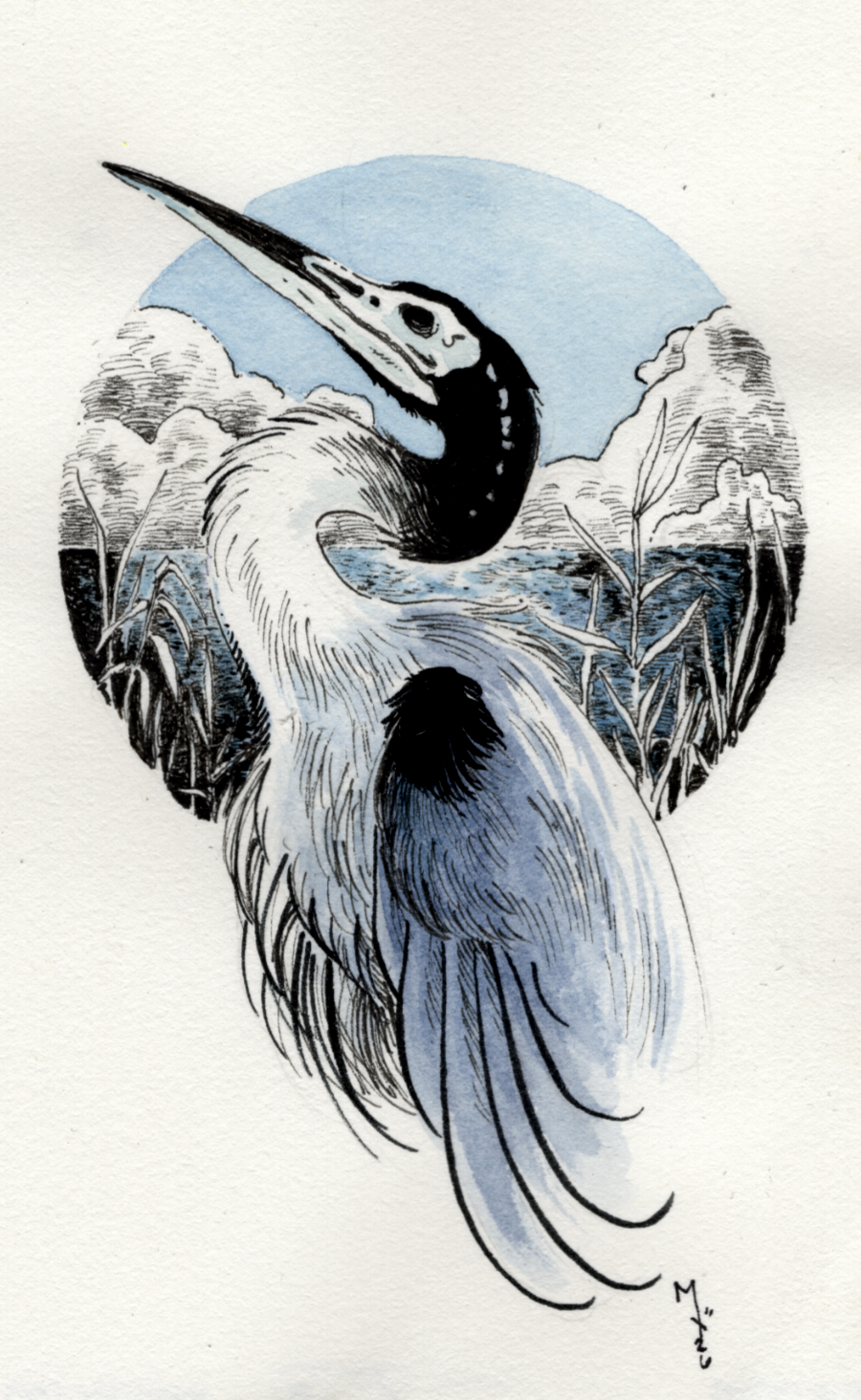 blue heron web.png