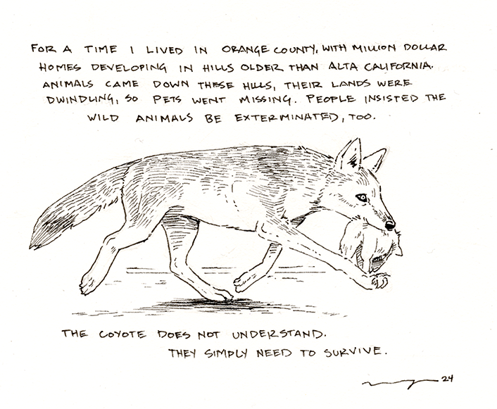 lost cat-web.png
