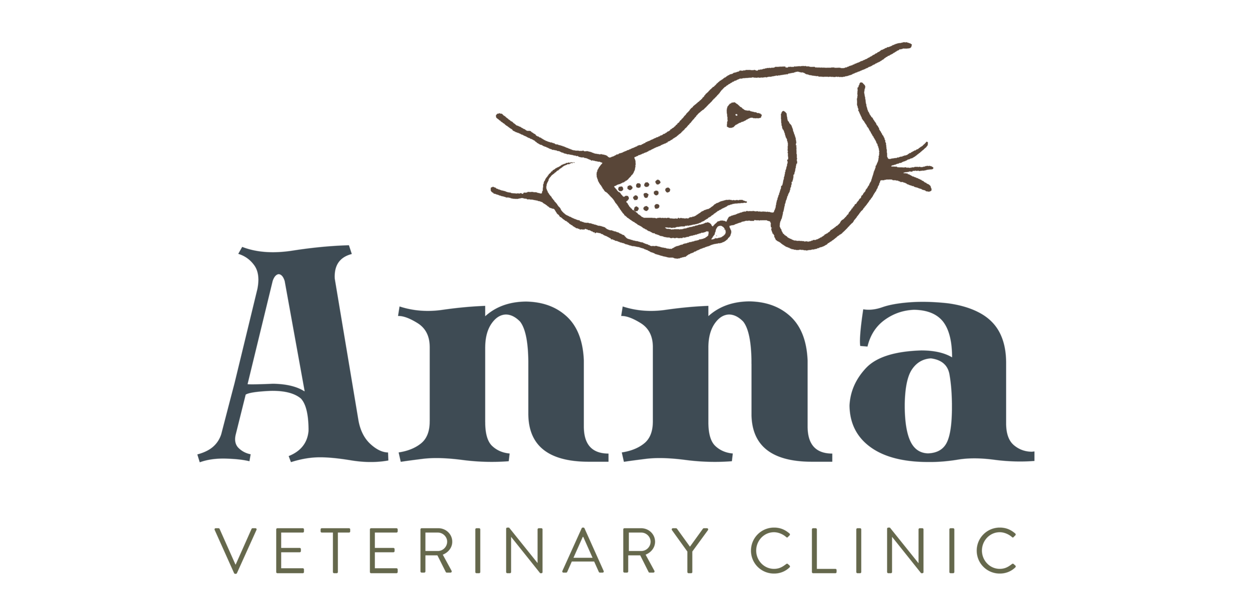 Anna Veterinary Clinic