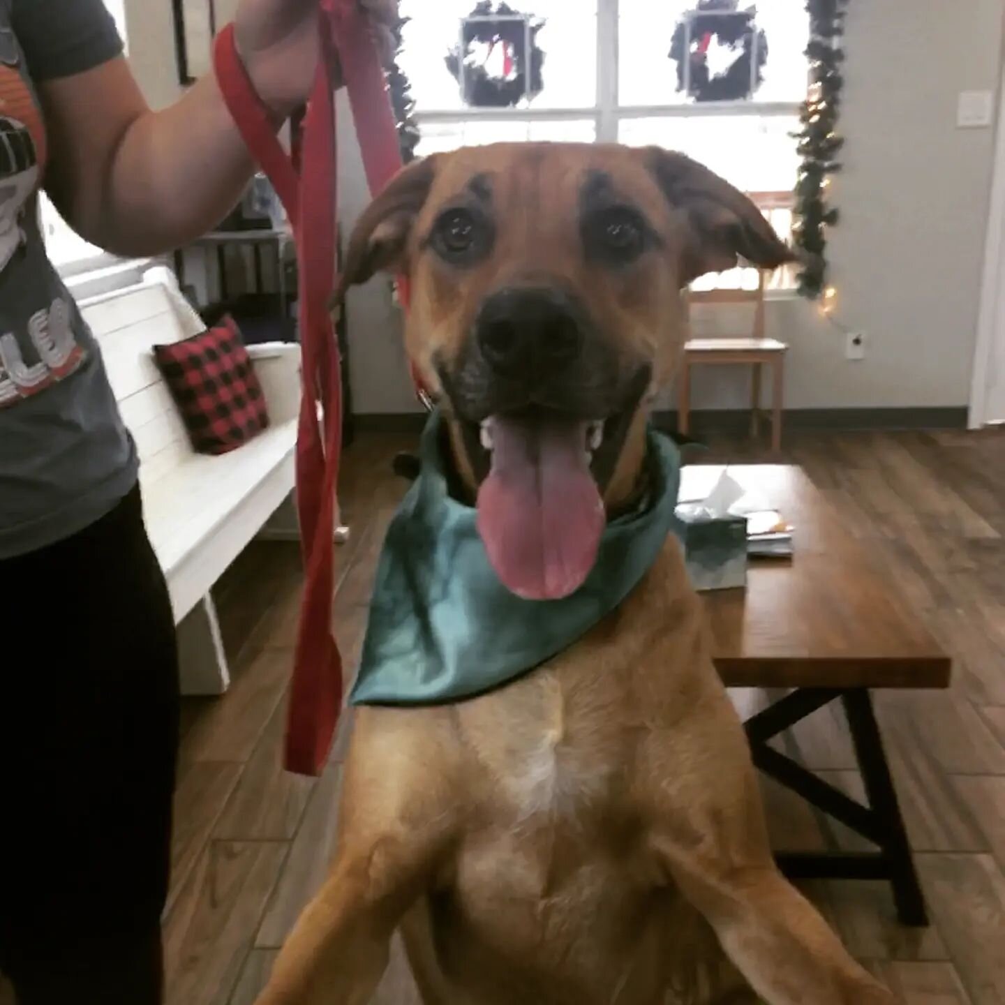 Another happy face because it's FRIDAY!
Another excellent week spent hanging out with our city's best pals. We're closed on Saturdays, but open bright and early on Sunday mornings. You can schedule an appointment online at annavet.com or call 972-924