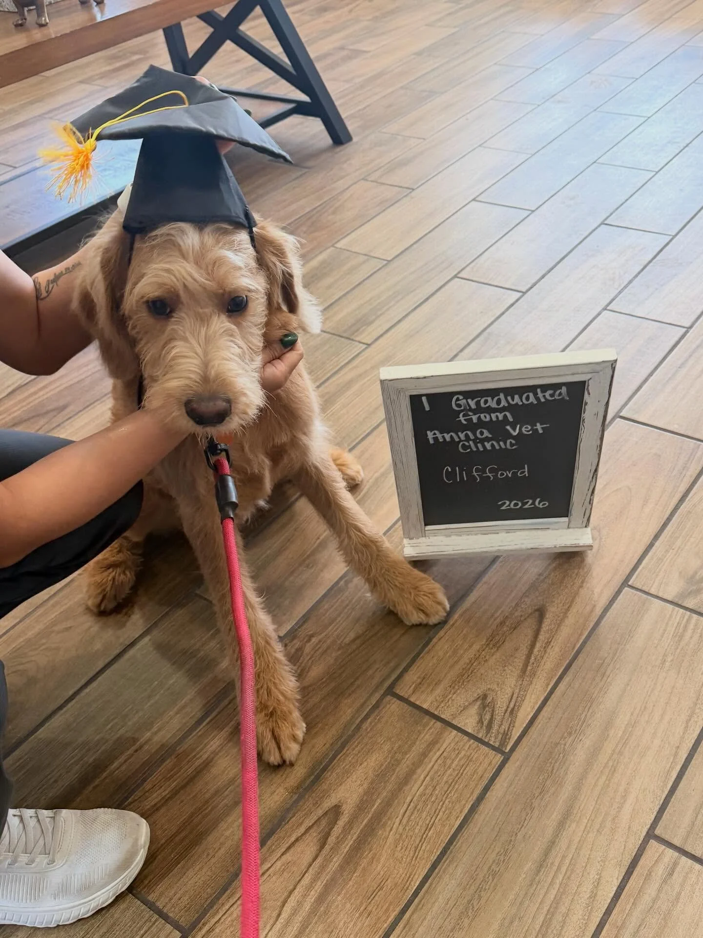 Say CHEESE 📸 &mdash; we&rsquo;re taking profile pics of your furry cuties! 🐾

Haven&rsquo;t had your doggo&rsquo;s photo taken yet? Don&rsquo;t be shy&mdash;send us ONE of your best shots!! (y&rsquo;all are probably better photographers than us any