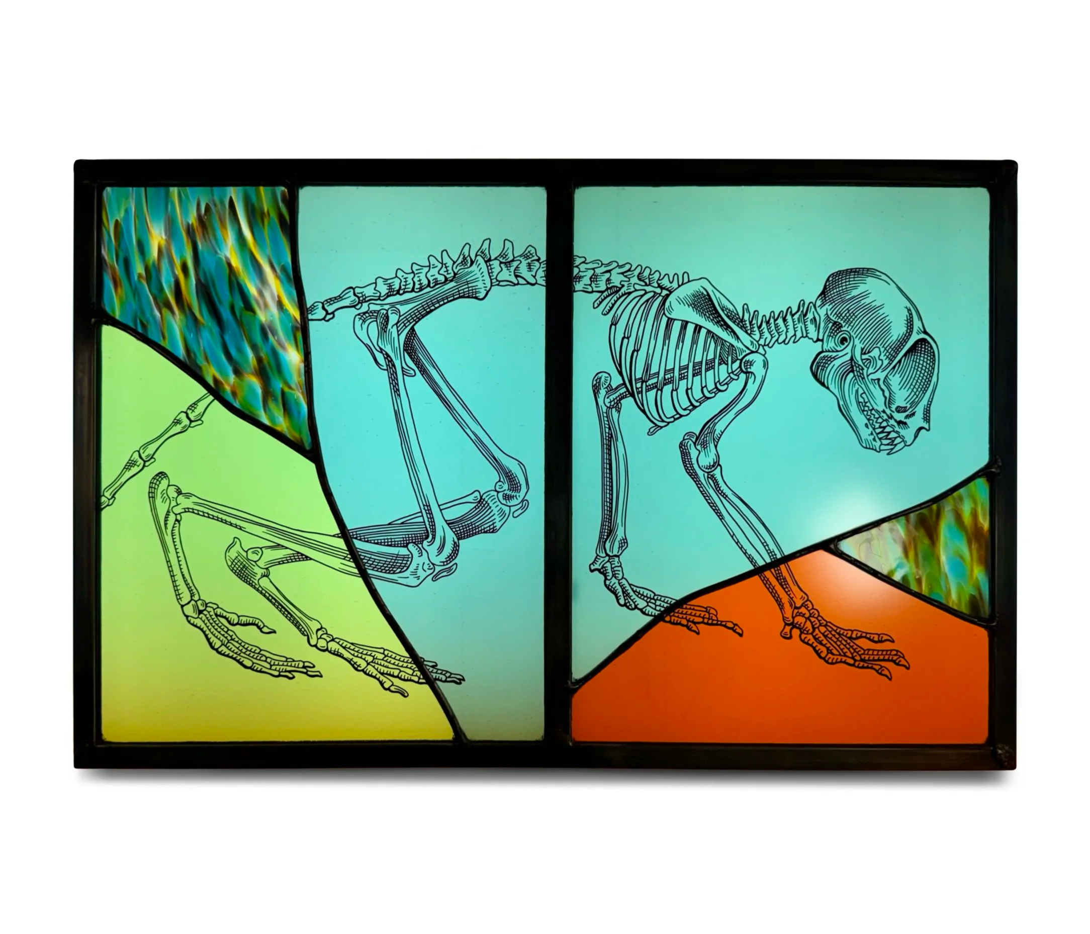 IMG_6050.png