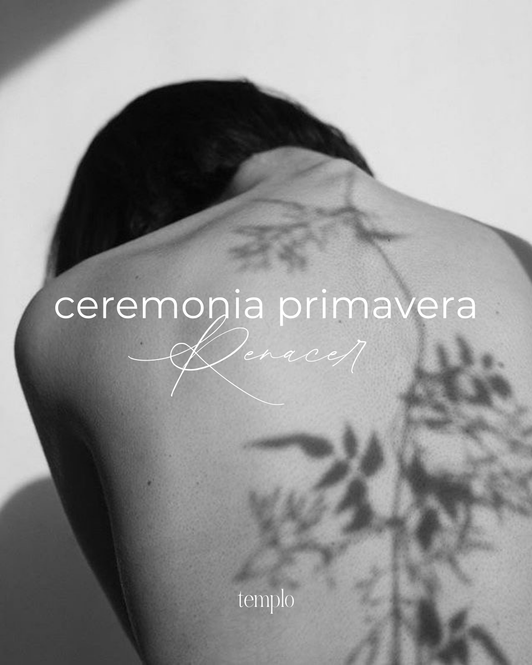 24/3 Ceremonia PRIMAVERA | Renacer: astrología/mtc, yin yoga y yoga nidra (online y gratuita)