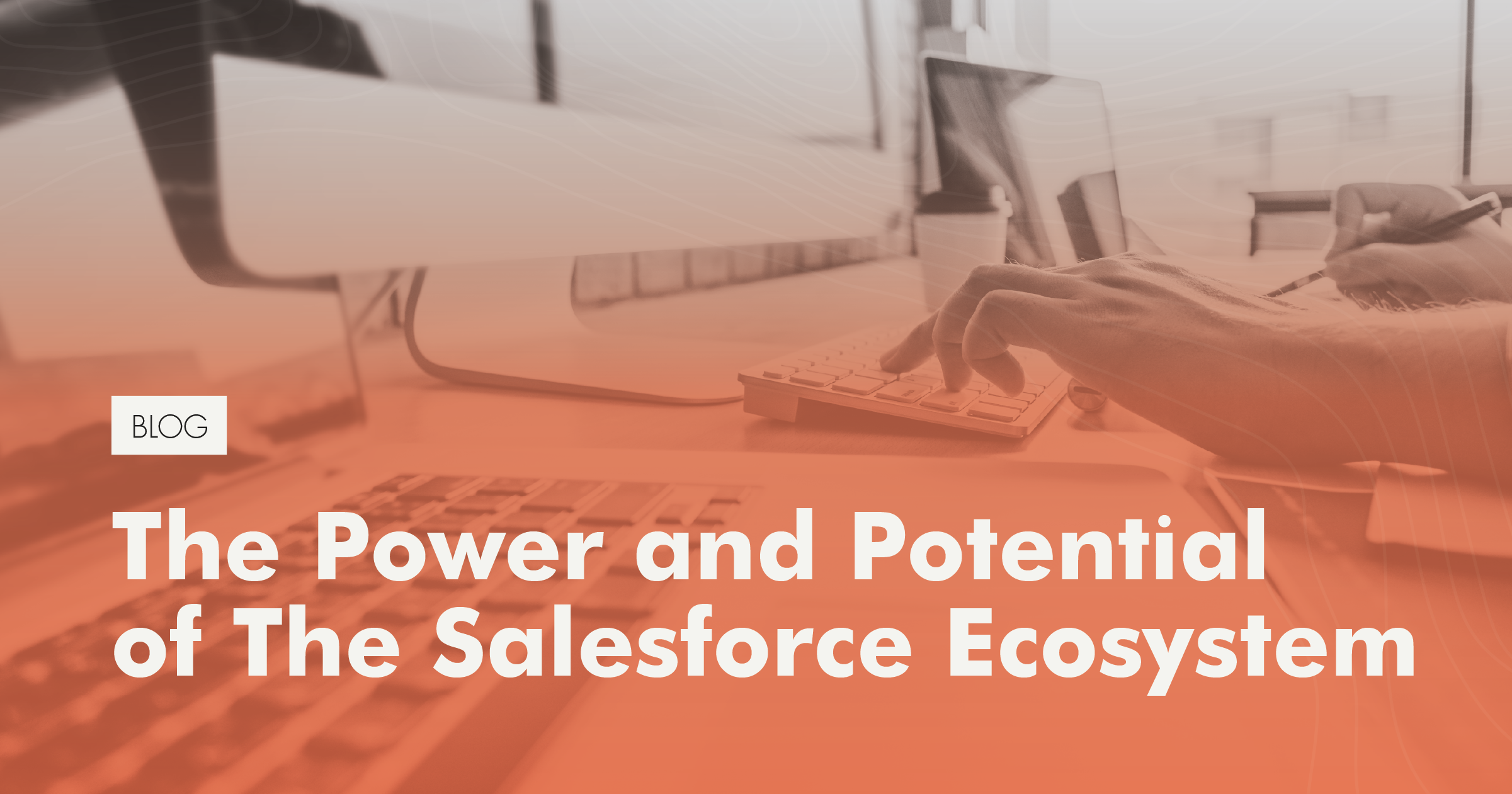 The Power and Potential of The Salesforce Ecosystem