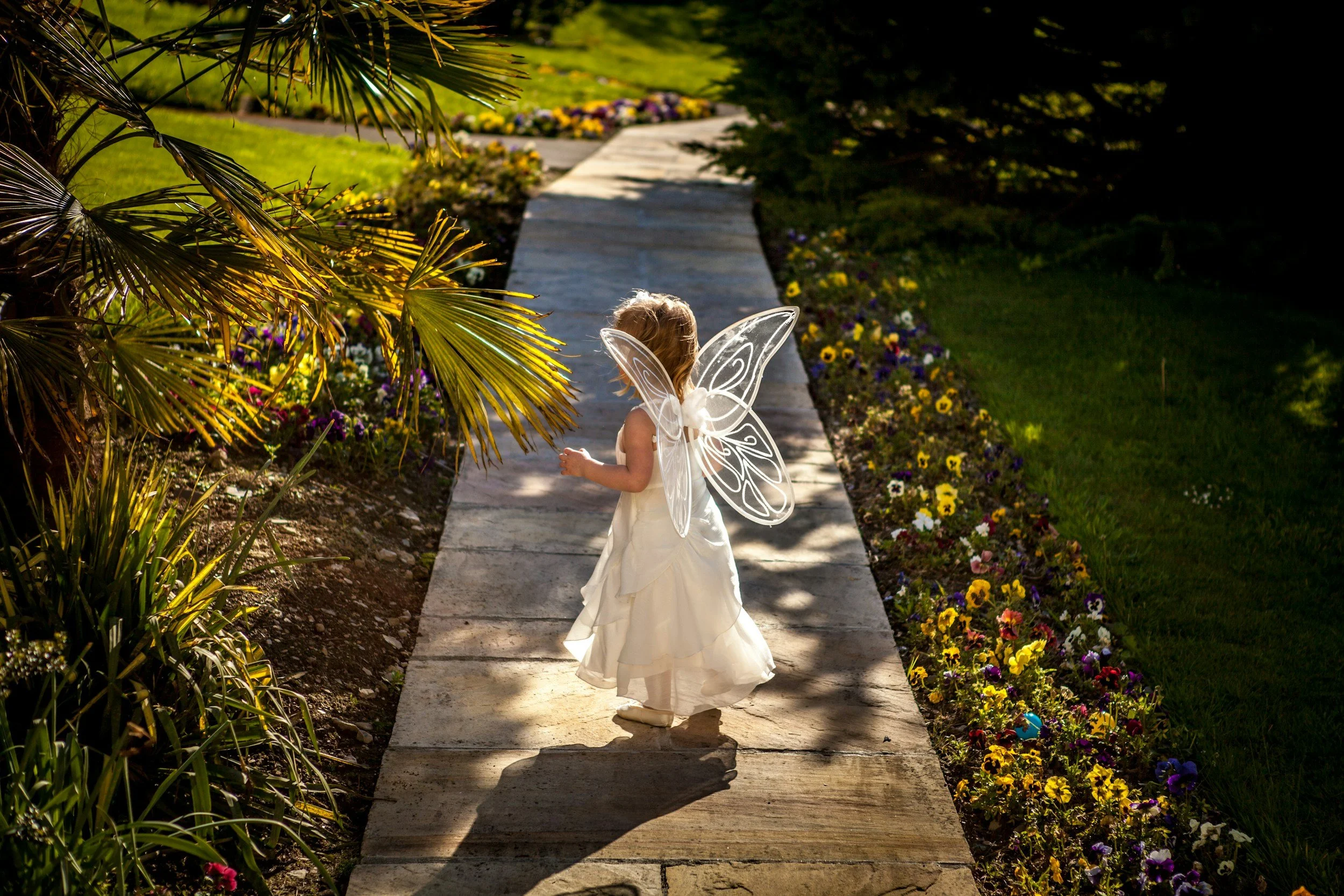 “Bridge of the Bees” in Penumbric