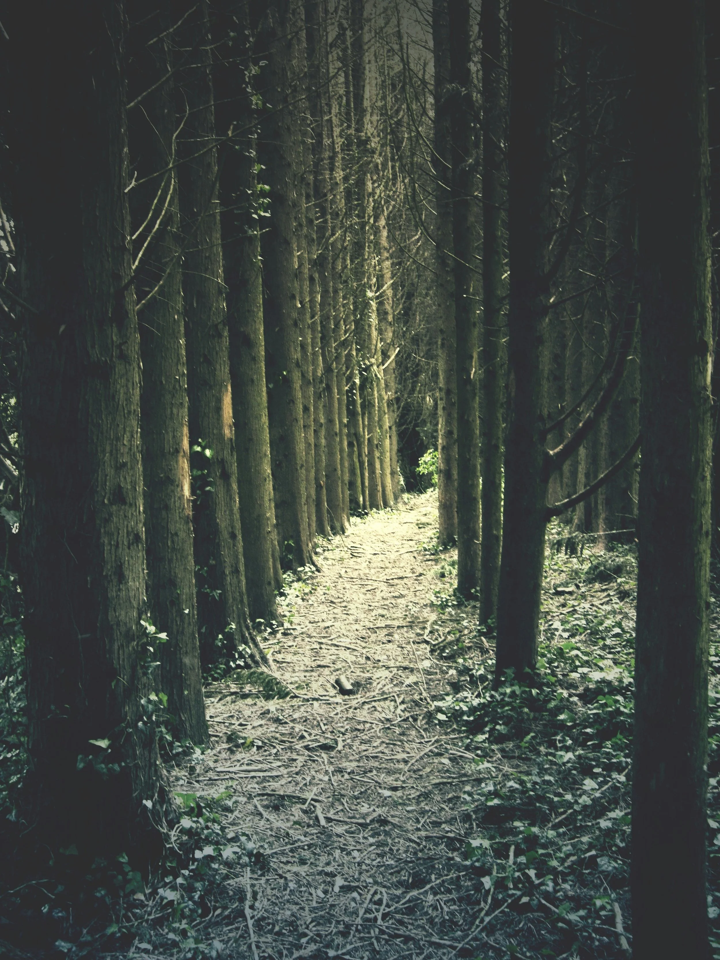 “The Worst Is Not Darkness” in Penumbric